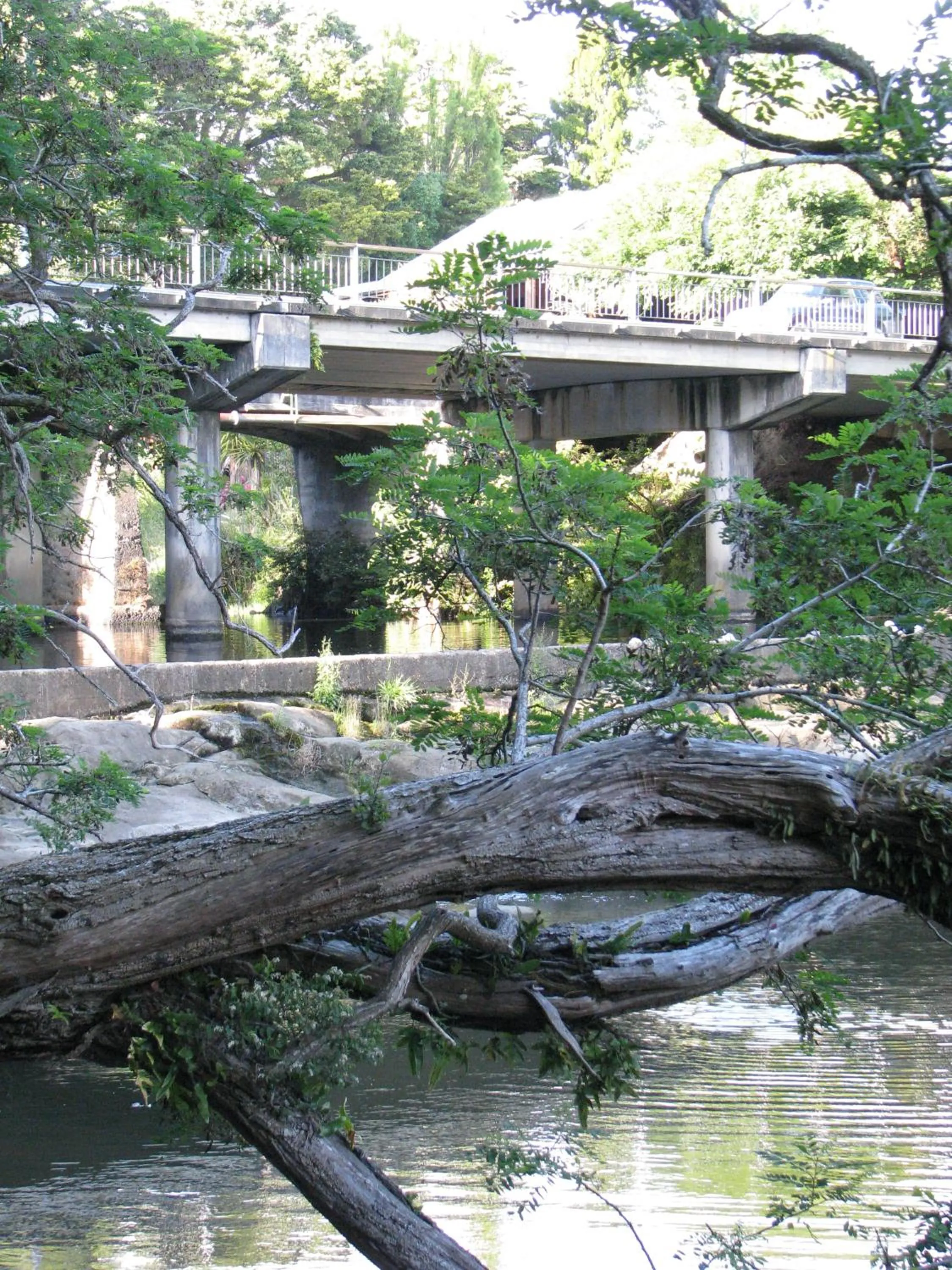 Day in Bridgehouse Lodge