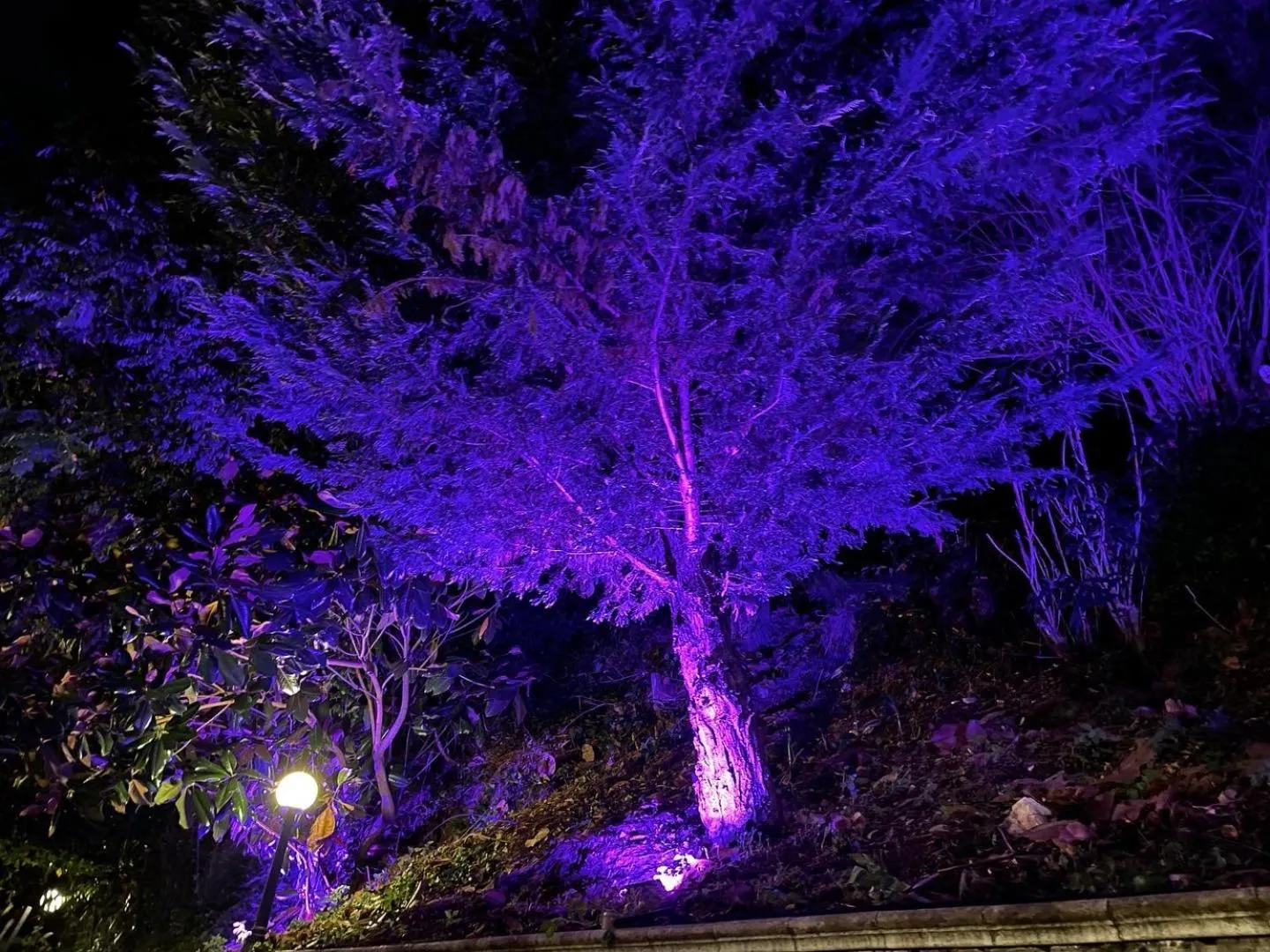 Property building in La Contessa B&B