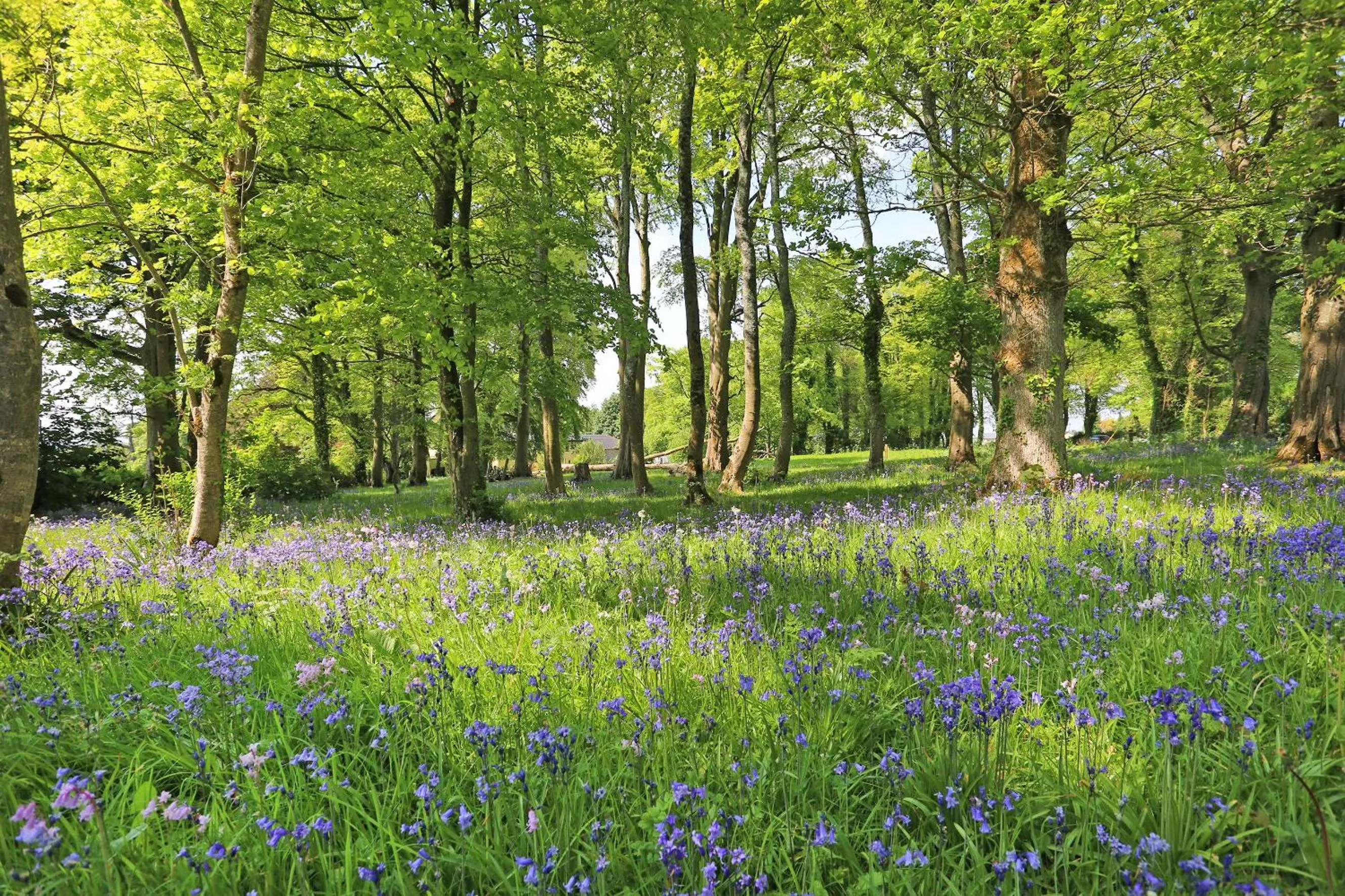 Carrygerry Country House