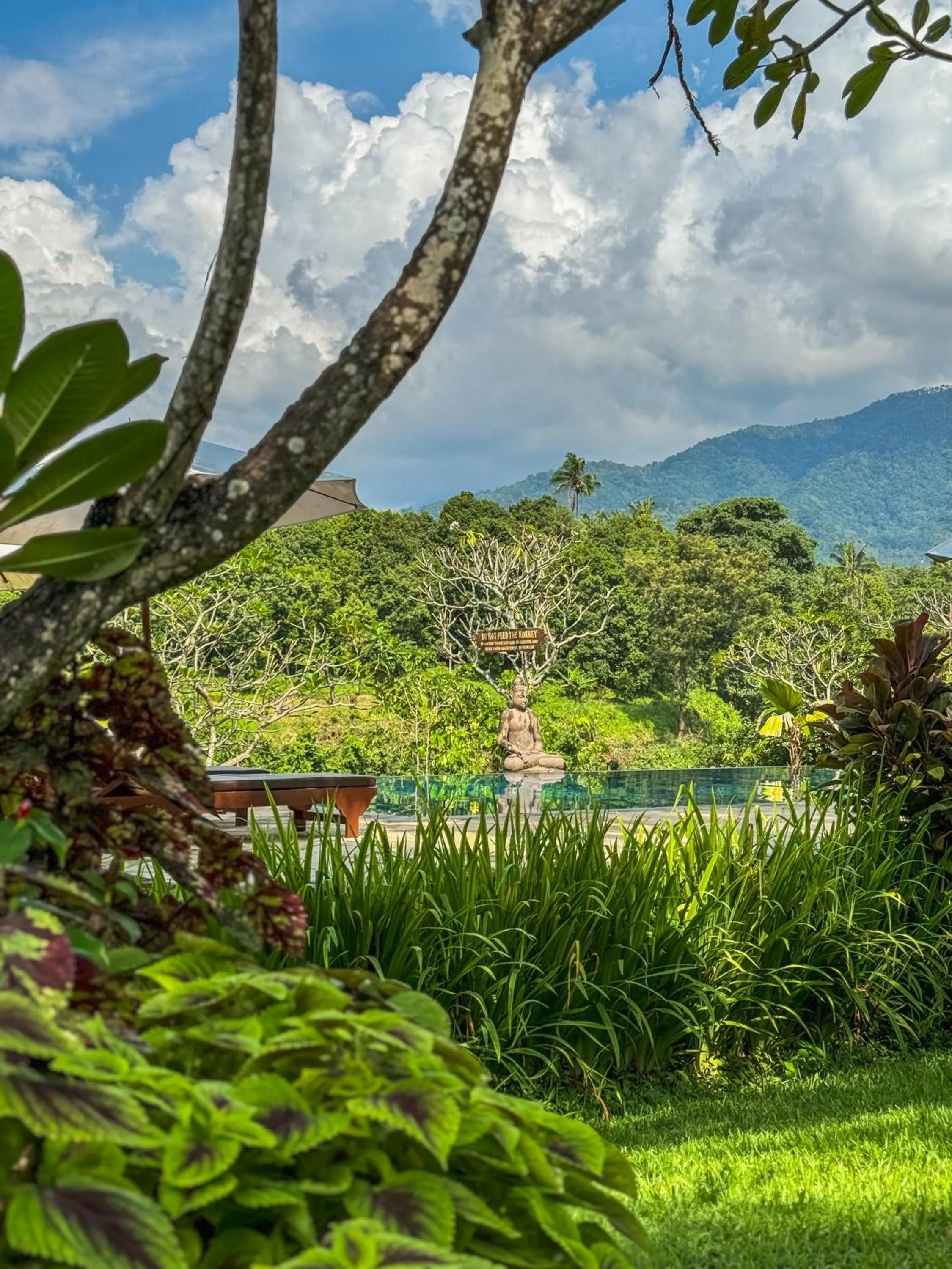 Swimming pool in Shanti Natural Panorama View Hotel