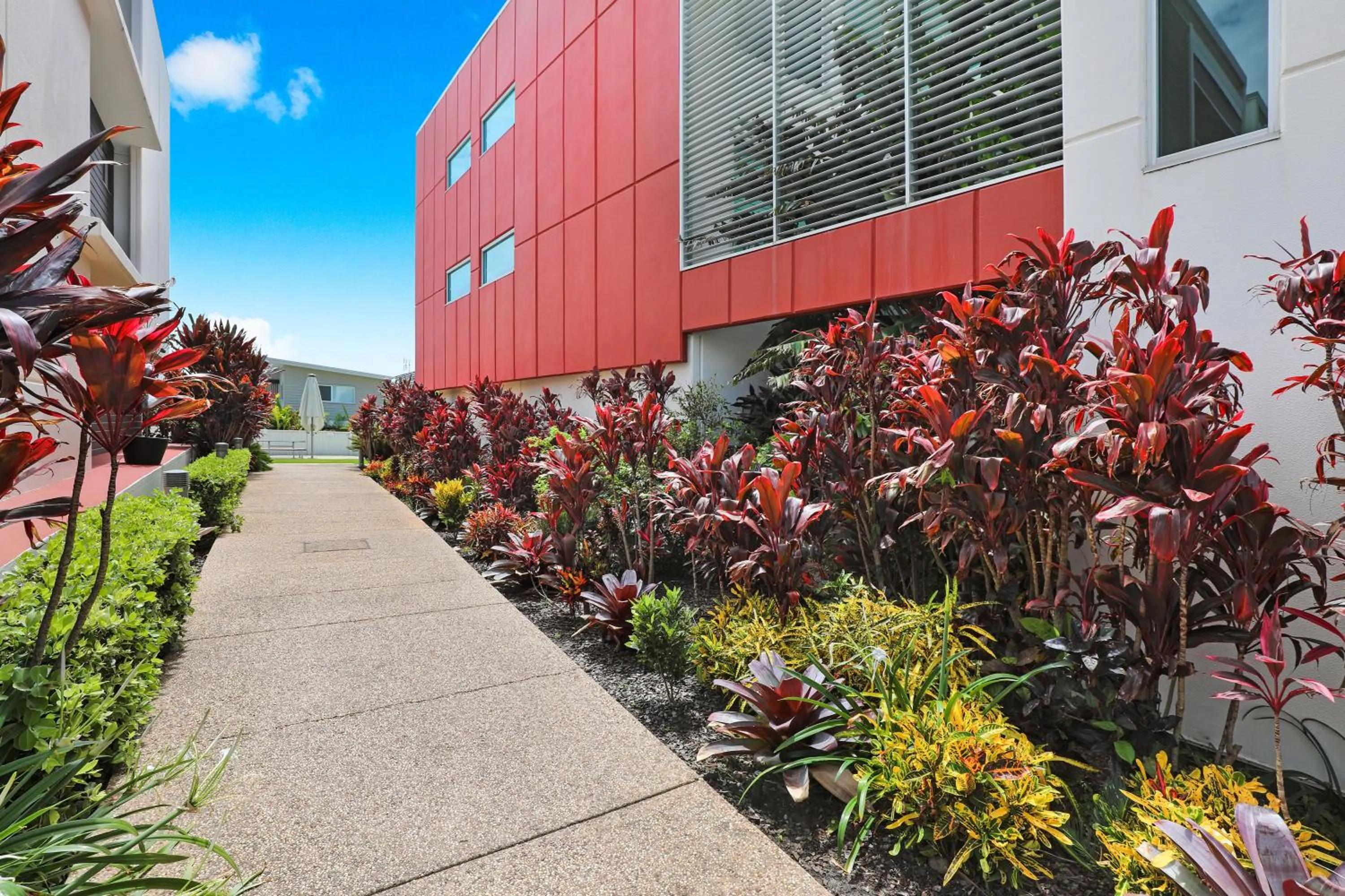Garden in Element on Coolum Beachfront Sunshine Coast