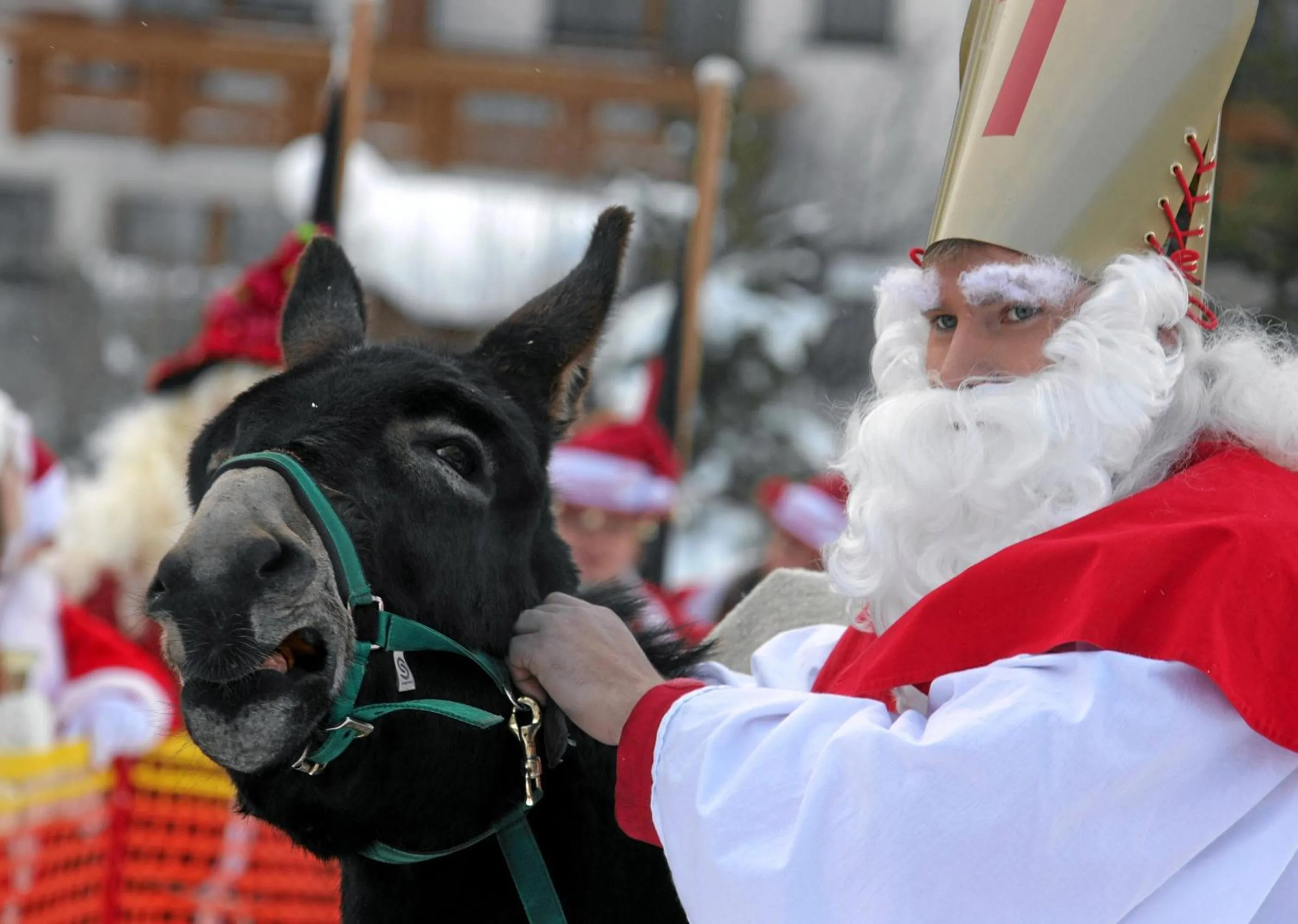 Animals in Hotel Garni Chasa Nova