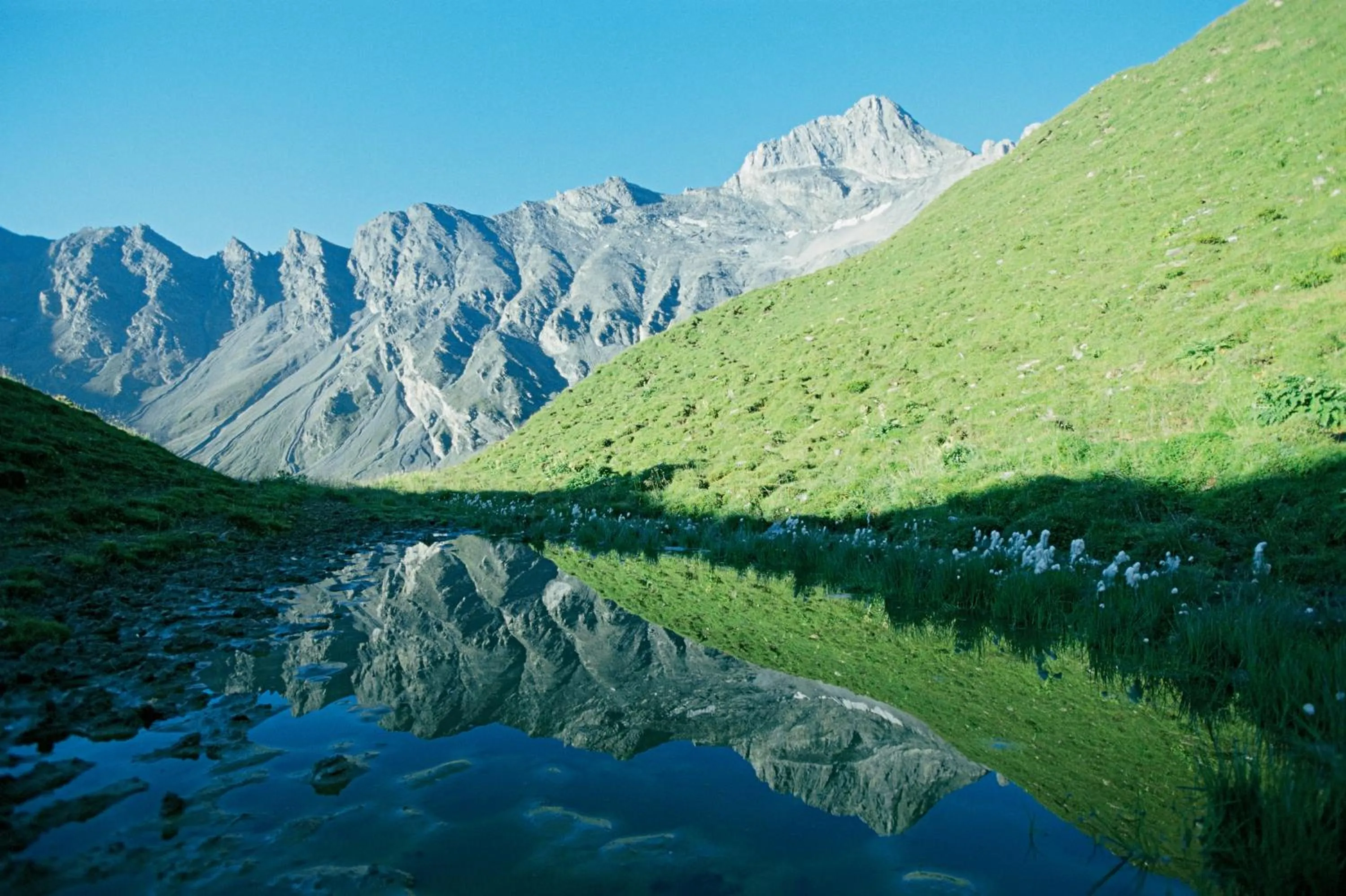 Natural landscape in Hotel Garni Chasa Nova