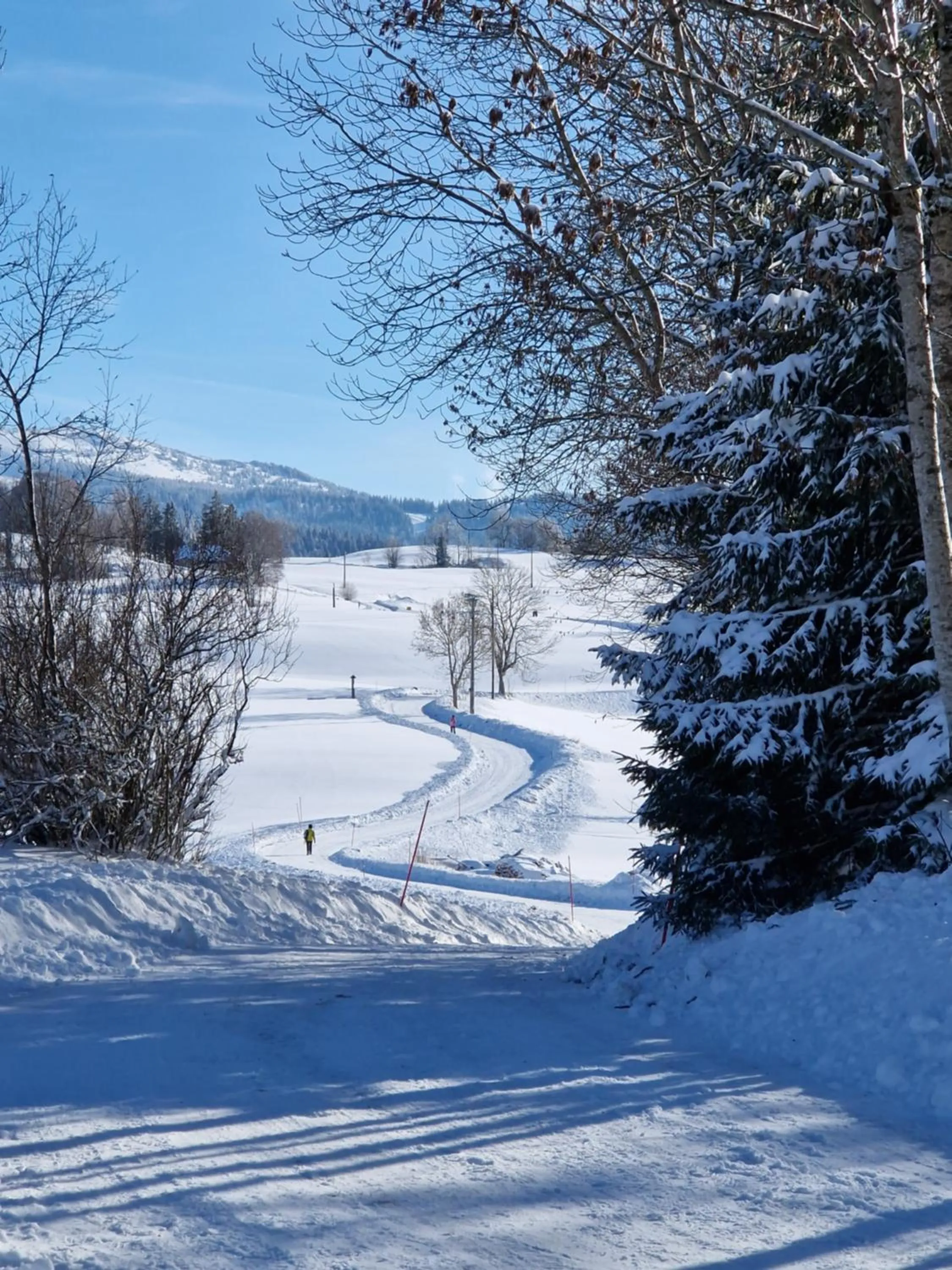 Lodge Hotel Les Rousses