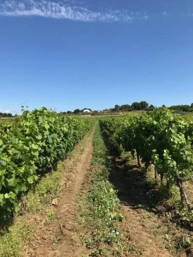 Domaine de Peilhan