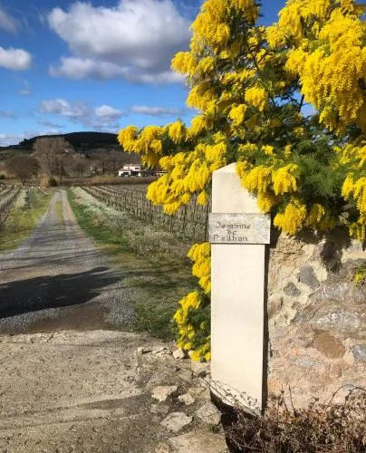Domaine de Peilhan