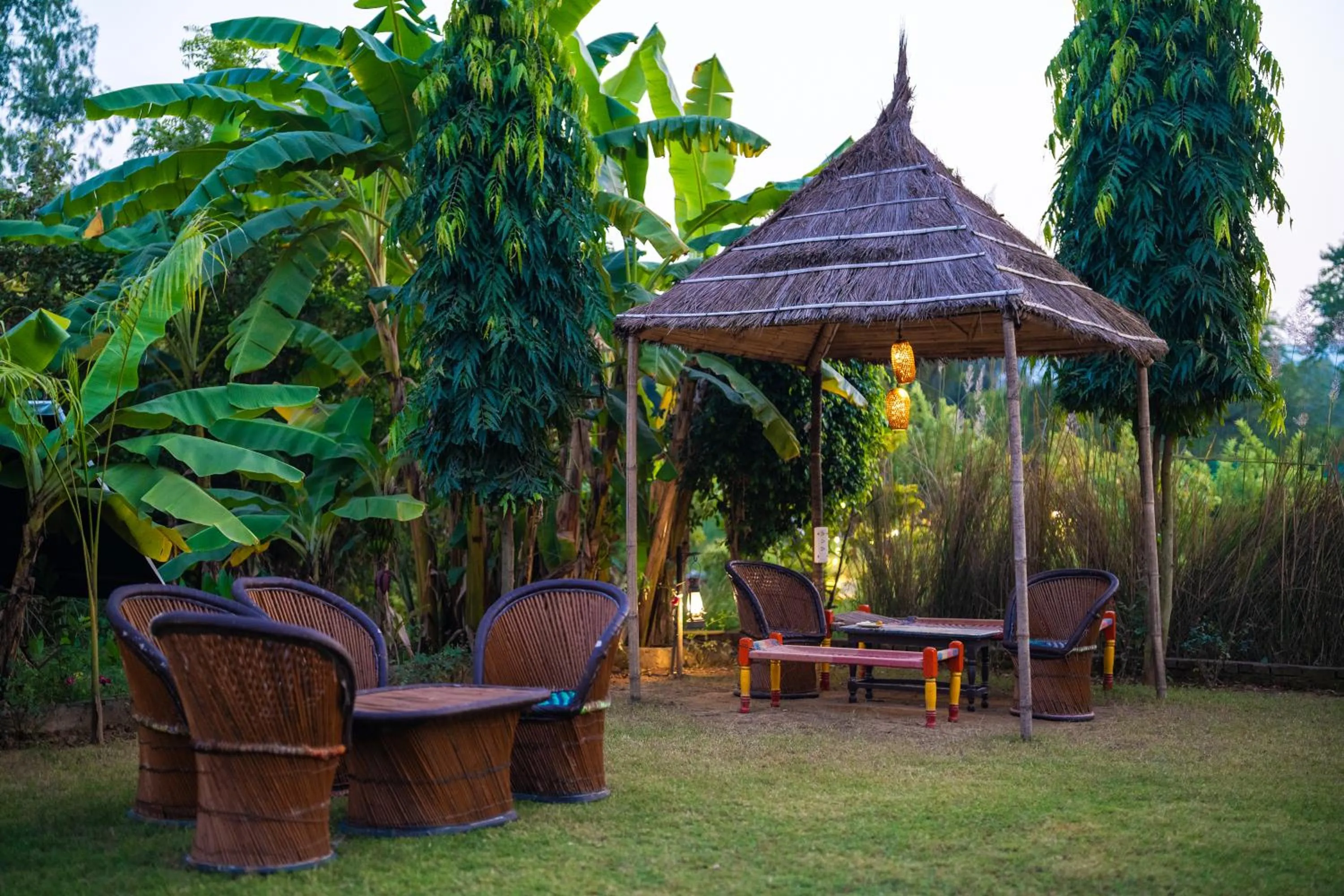 Garden in Paridhi Niwas, Ranthambore- near Tiger Safari Zones 1-5