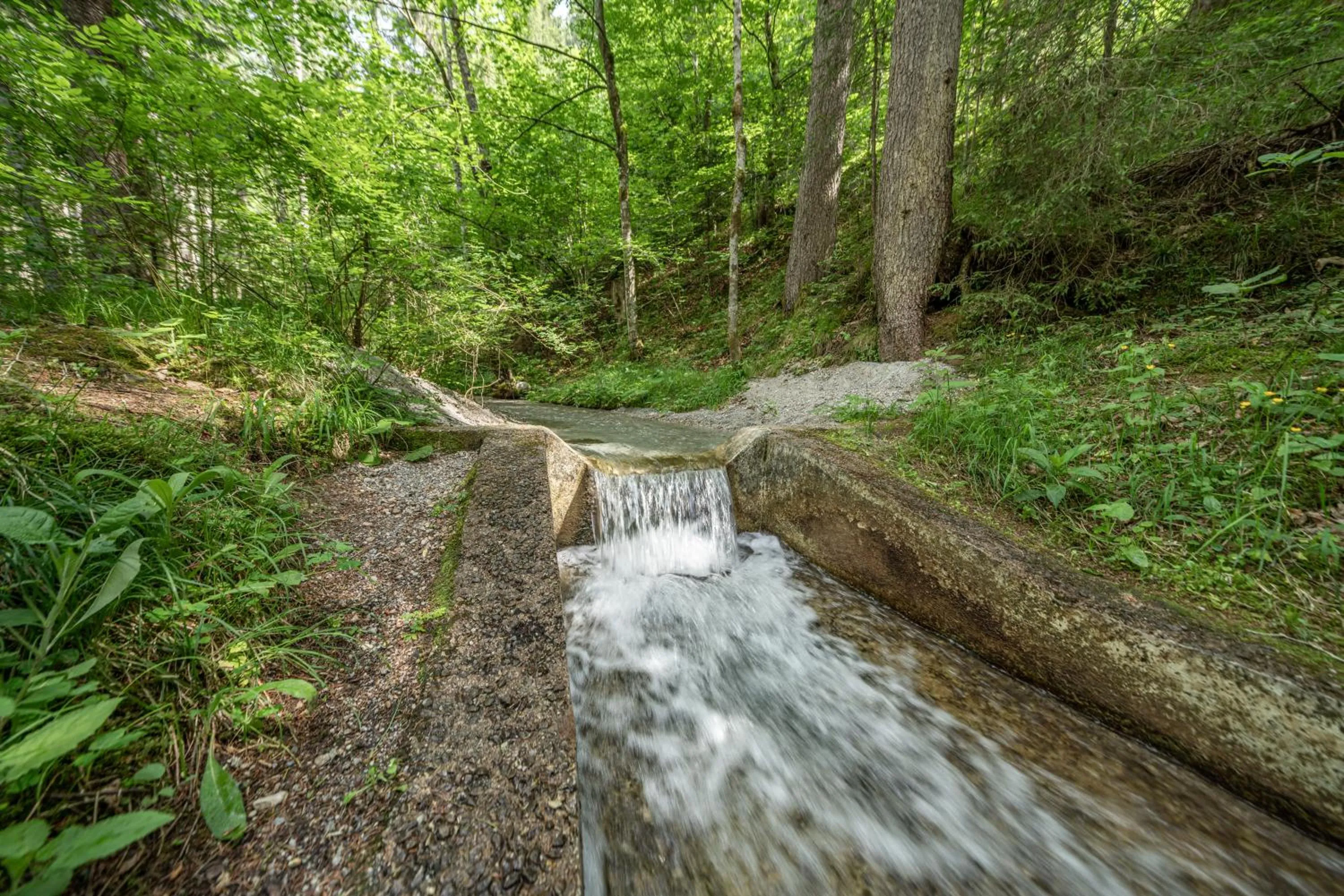 Reiters Wohlfühlhotel