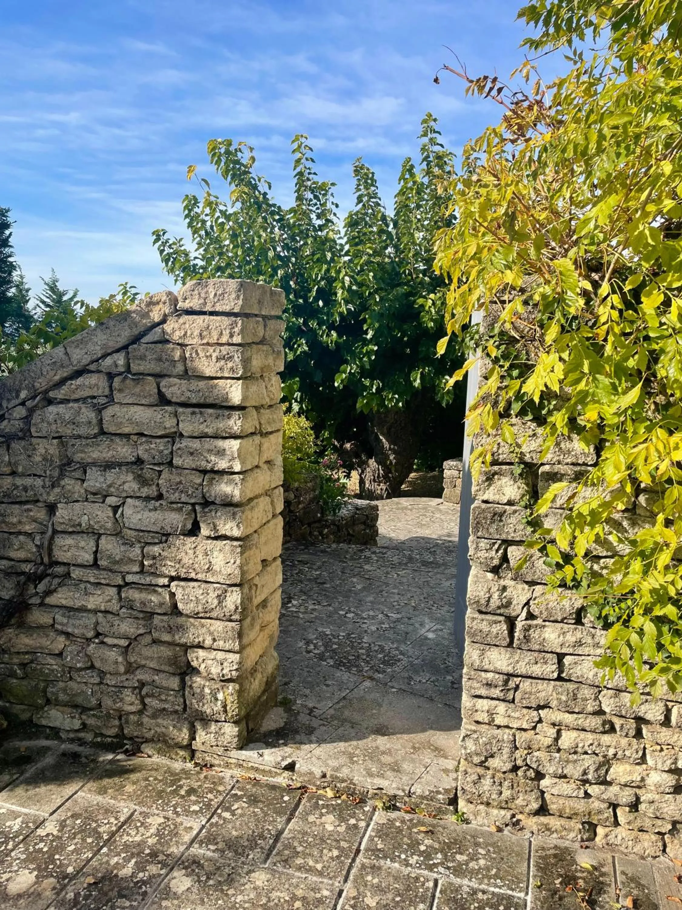 Garden in Domaine de l'Enclos