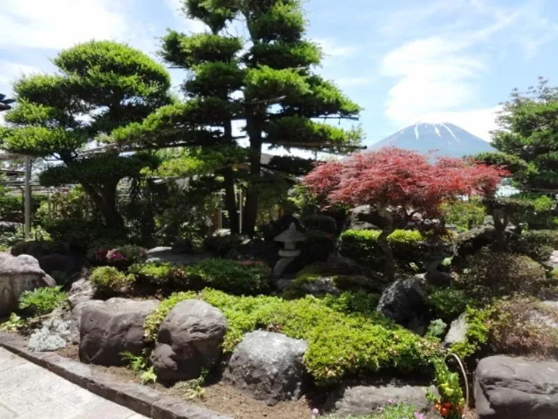 Natural landscape in Minshuku Kobayashi
