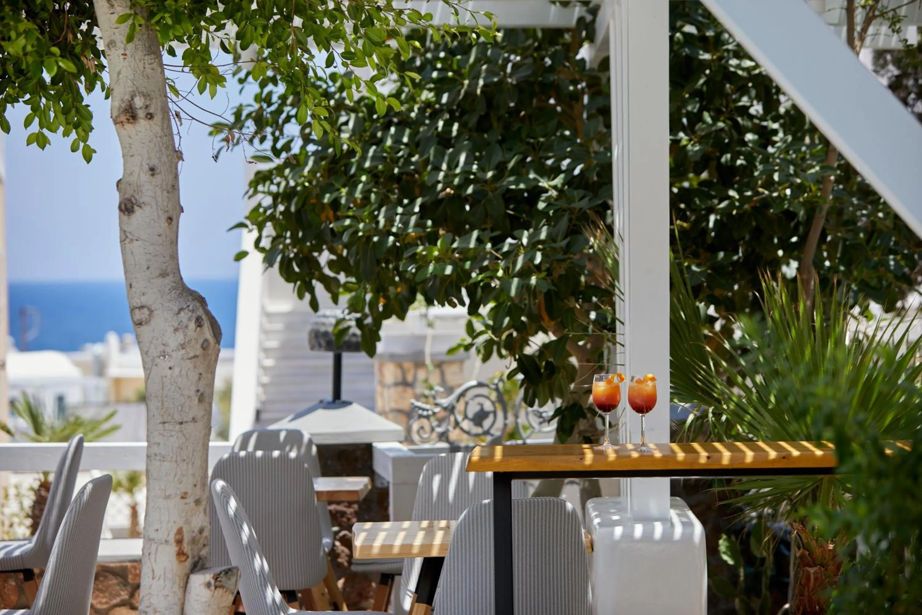 Garden in Blue Sea Hotel