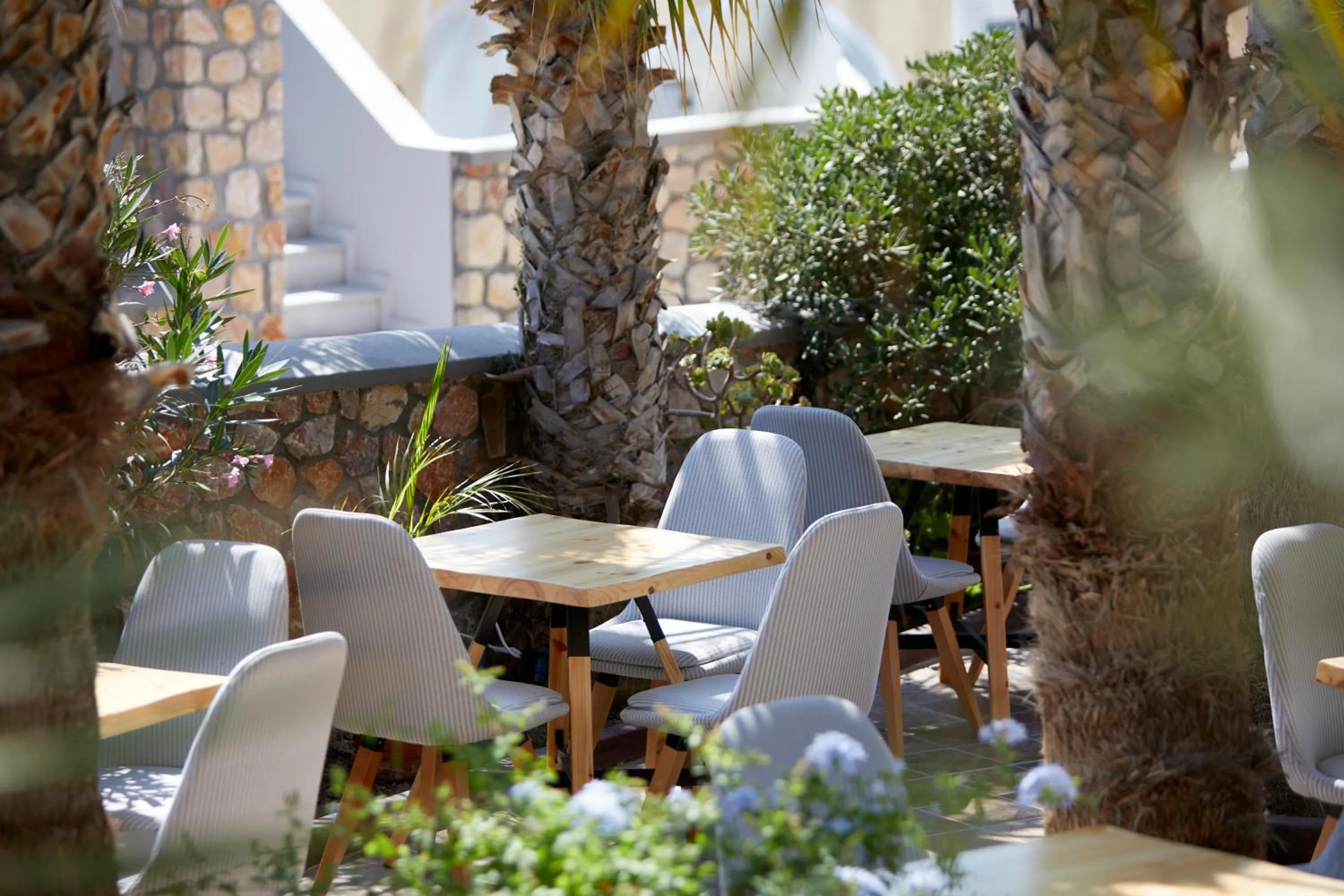 Garden in Blue Sea Hotel