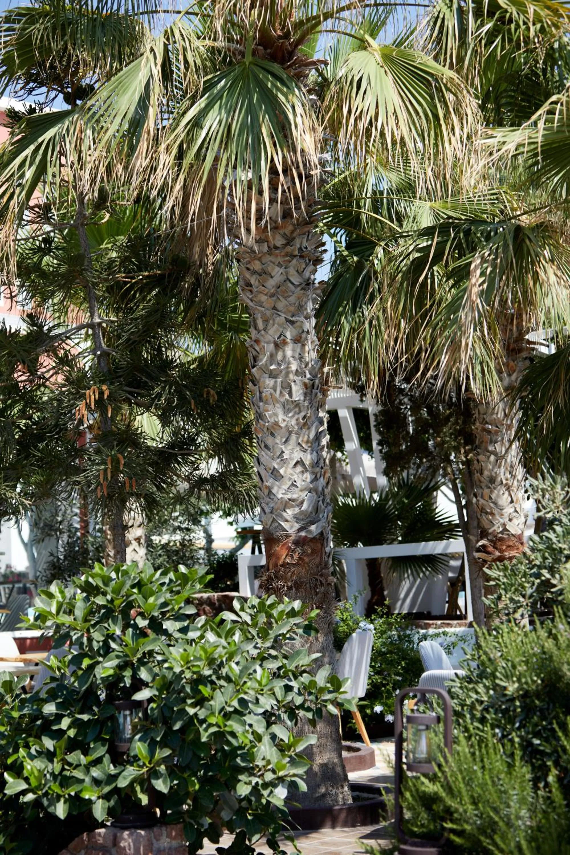 Garden in Blue Sea Hotel