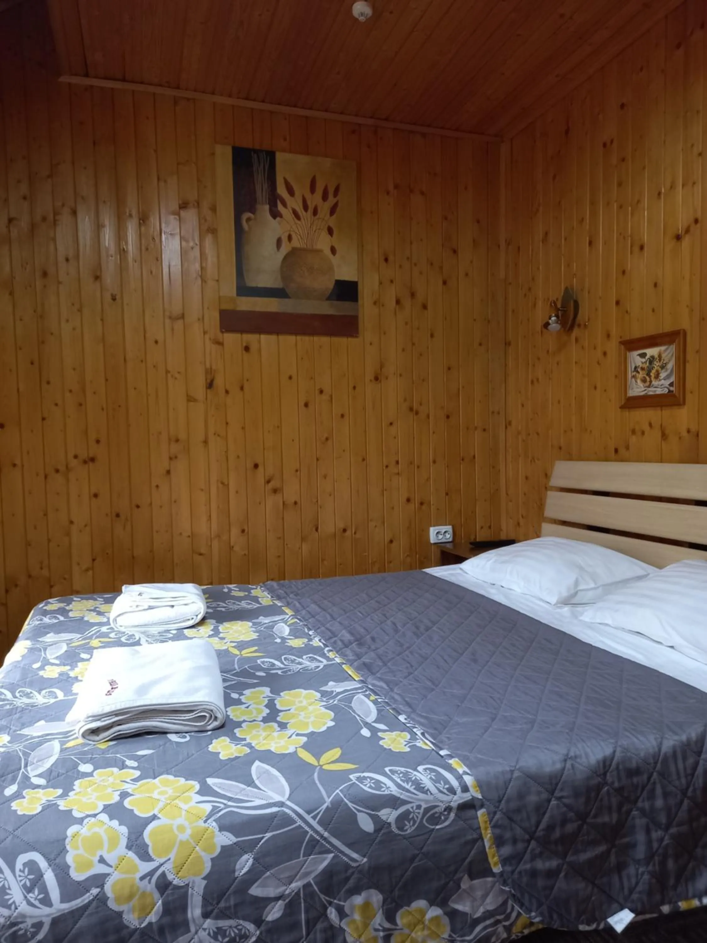 Bed in Urochyshe Vyshnya