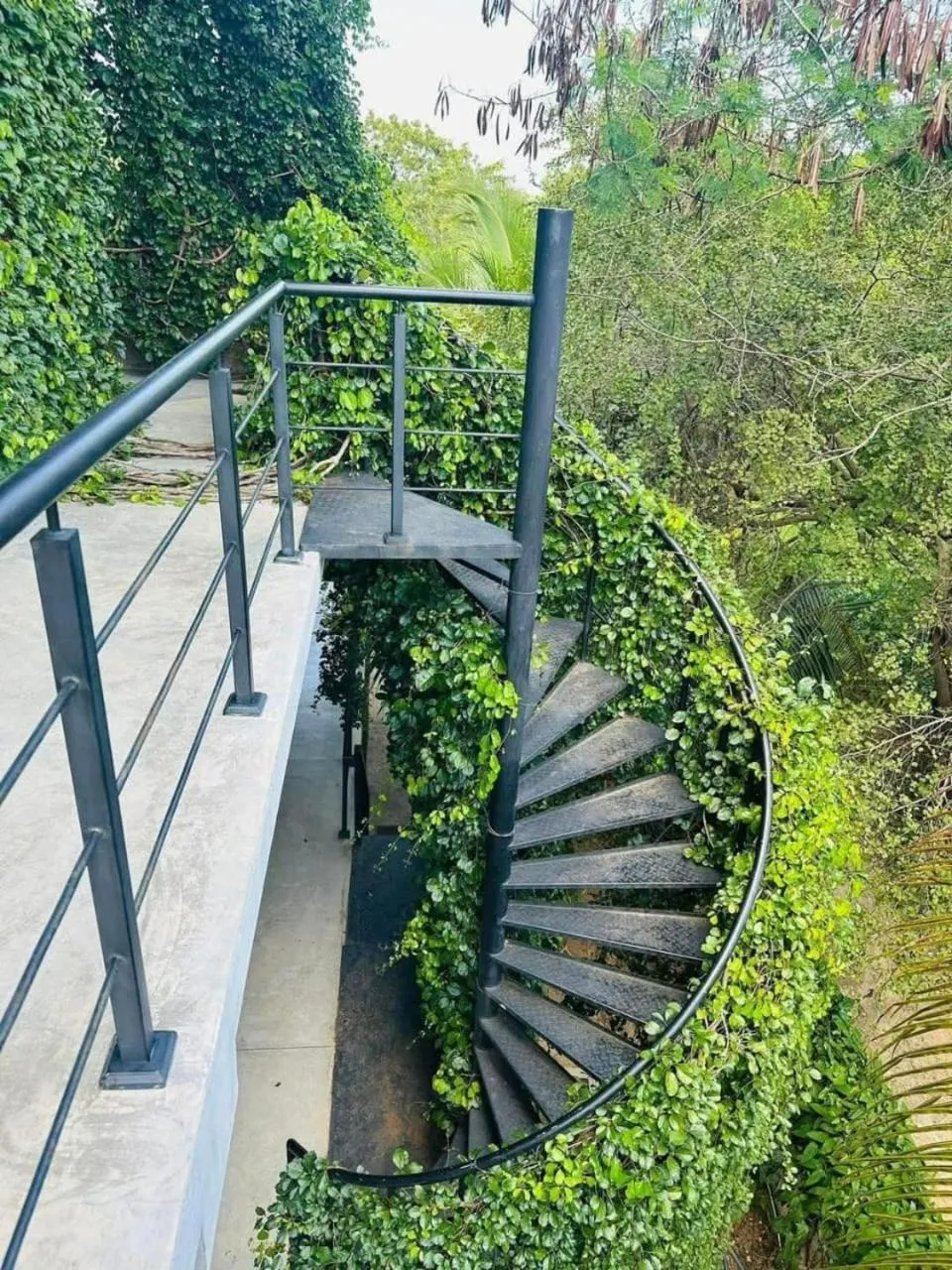 Balcony/Terrace in Ele Camp Udawalawe