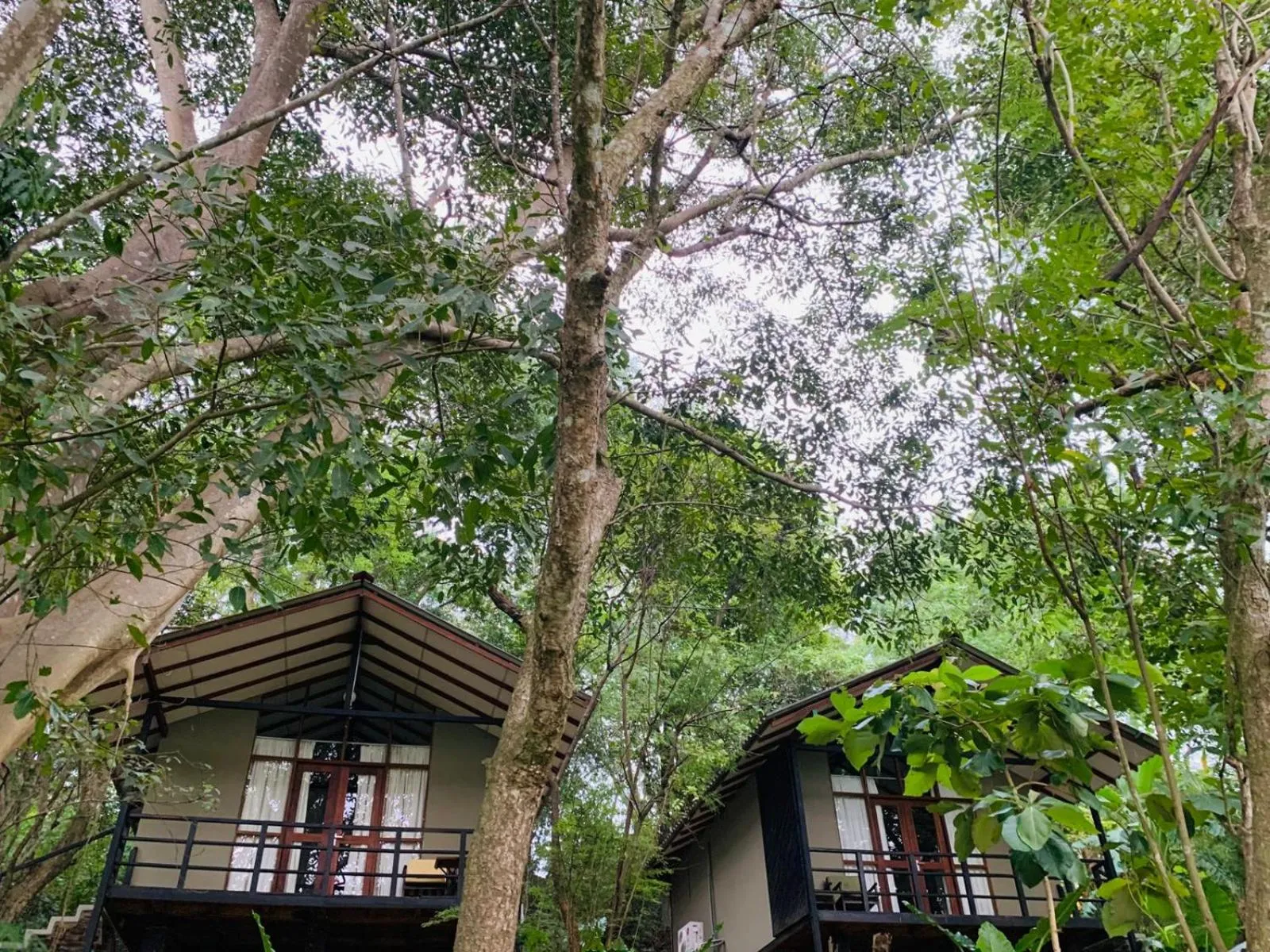 Property building in Ele Camp Udawalawe