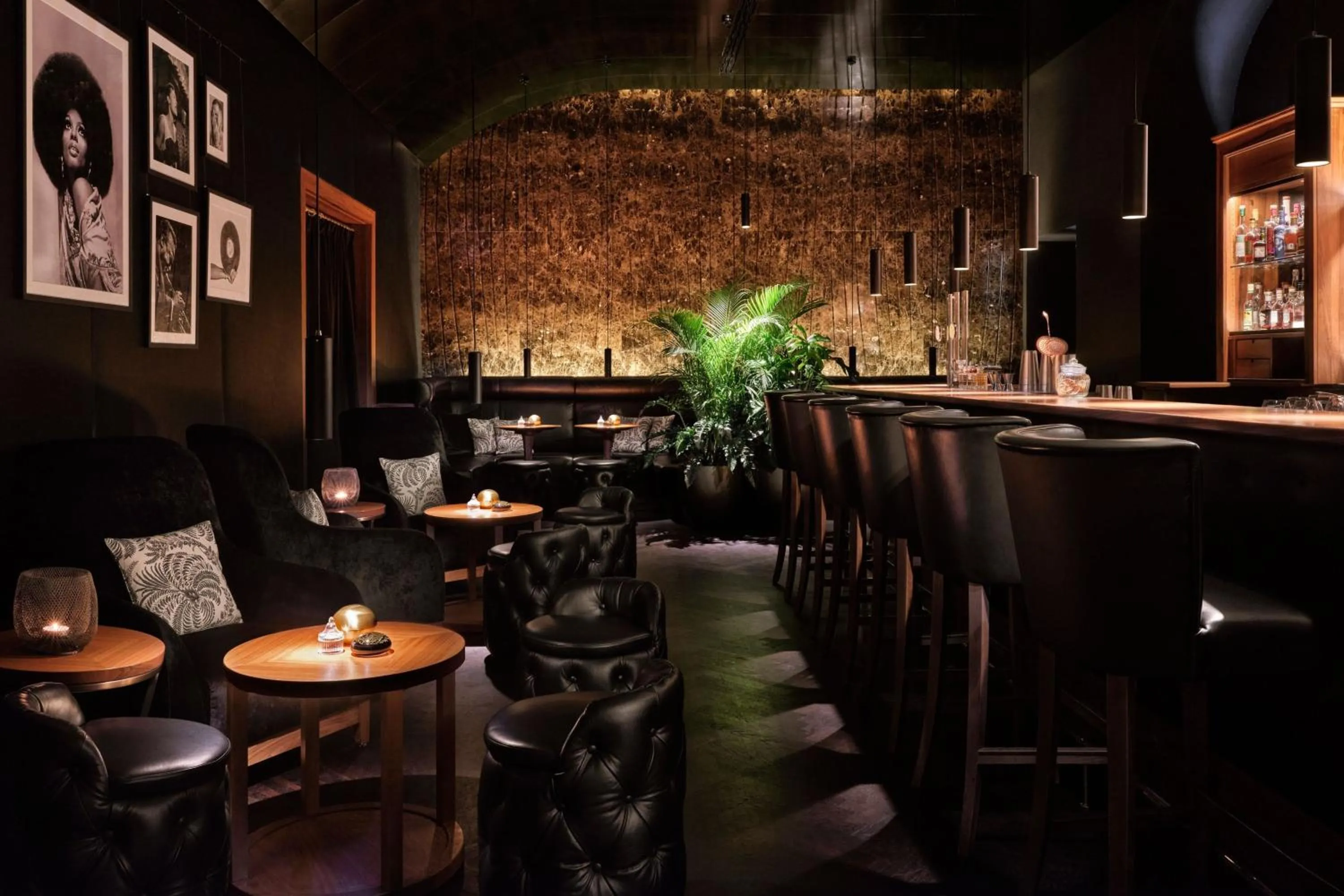 Restaurant/places to eat in The Ritz-Carlton, Vienna