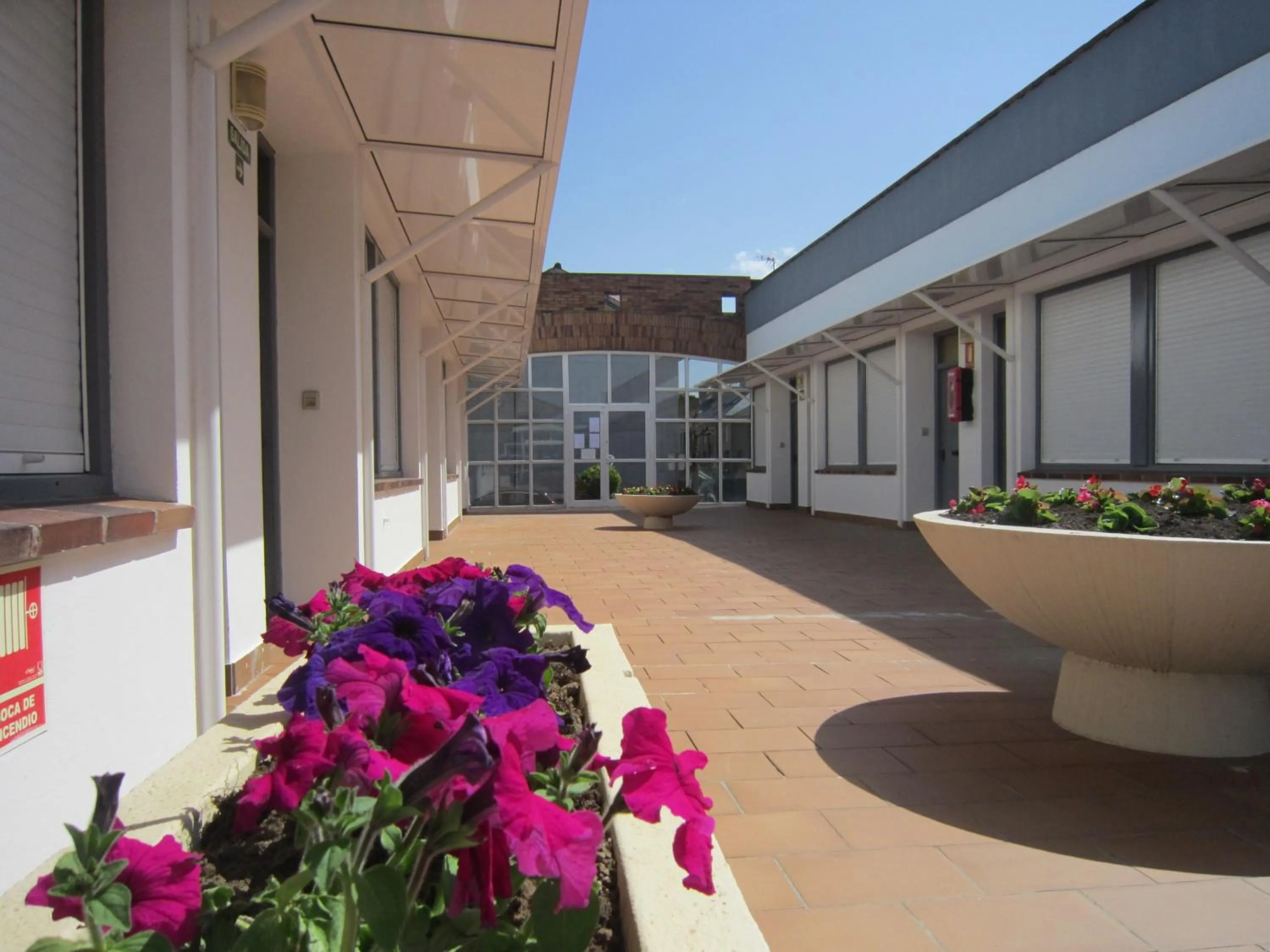 Apartamentos Elena