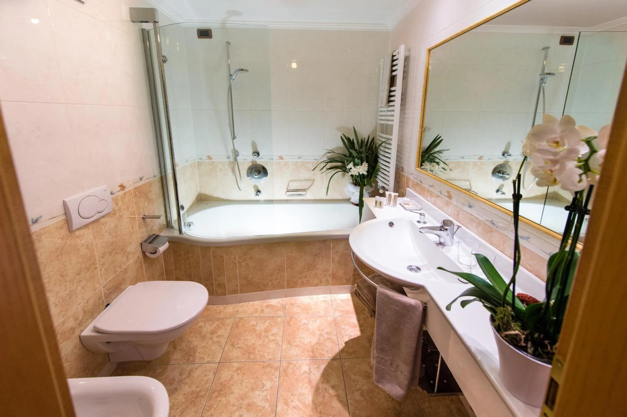 Bathroom in Alpen Hotel Corona