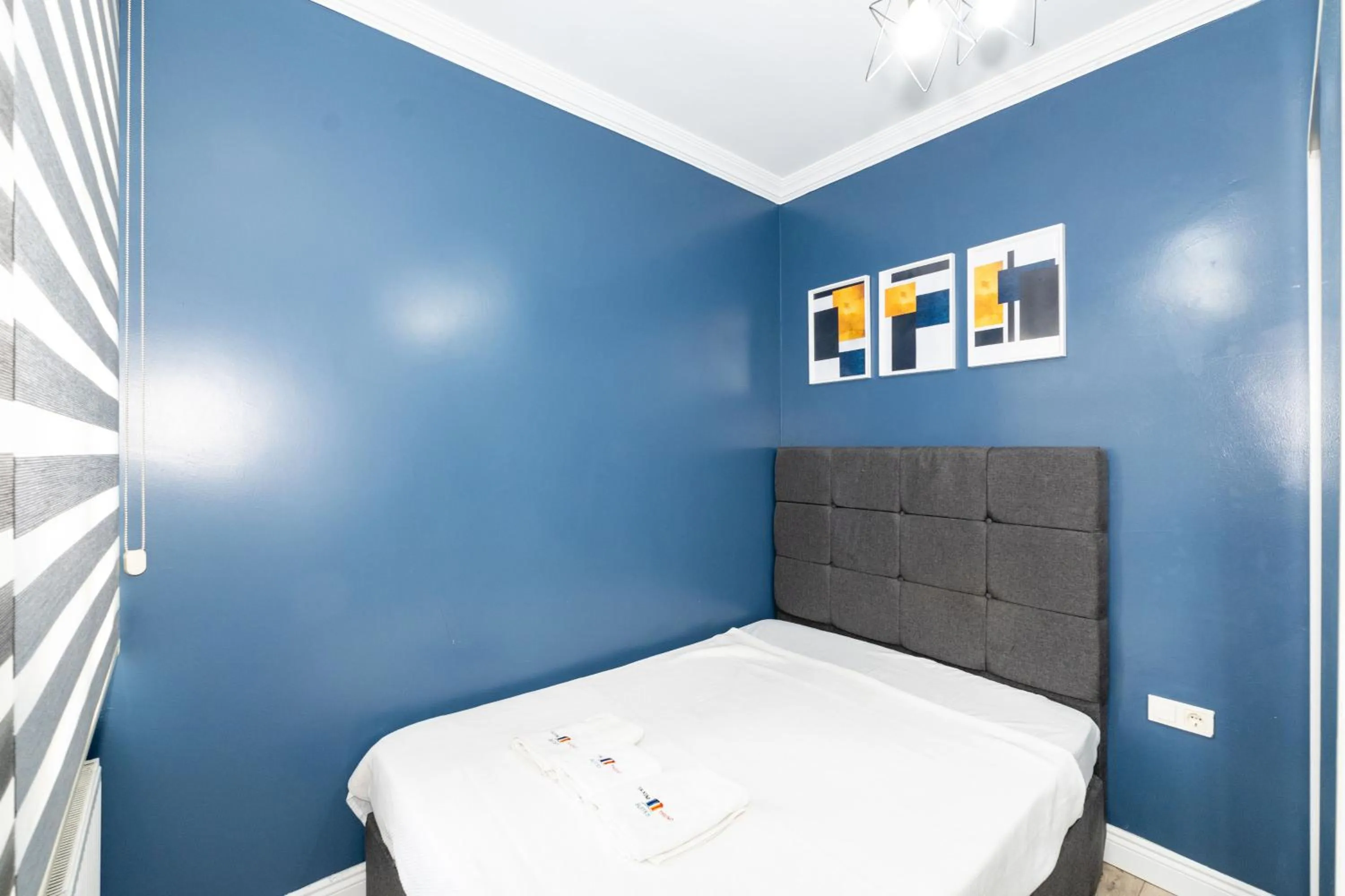 Photo of the whole room in Butterfly House