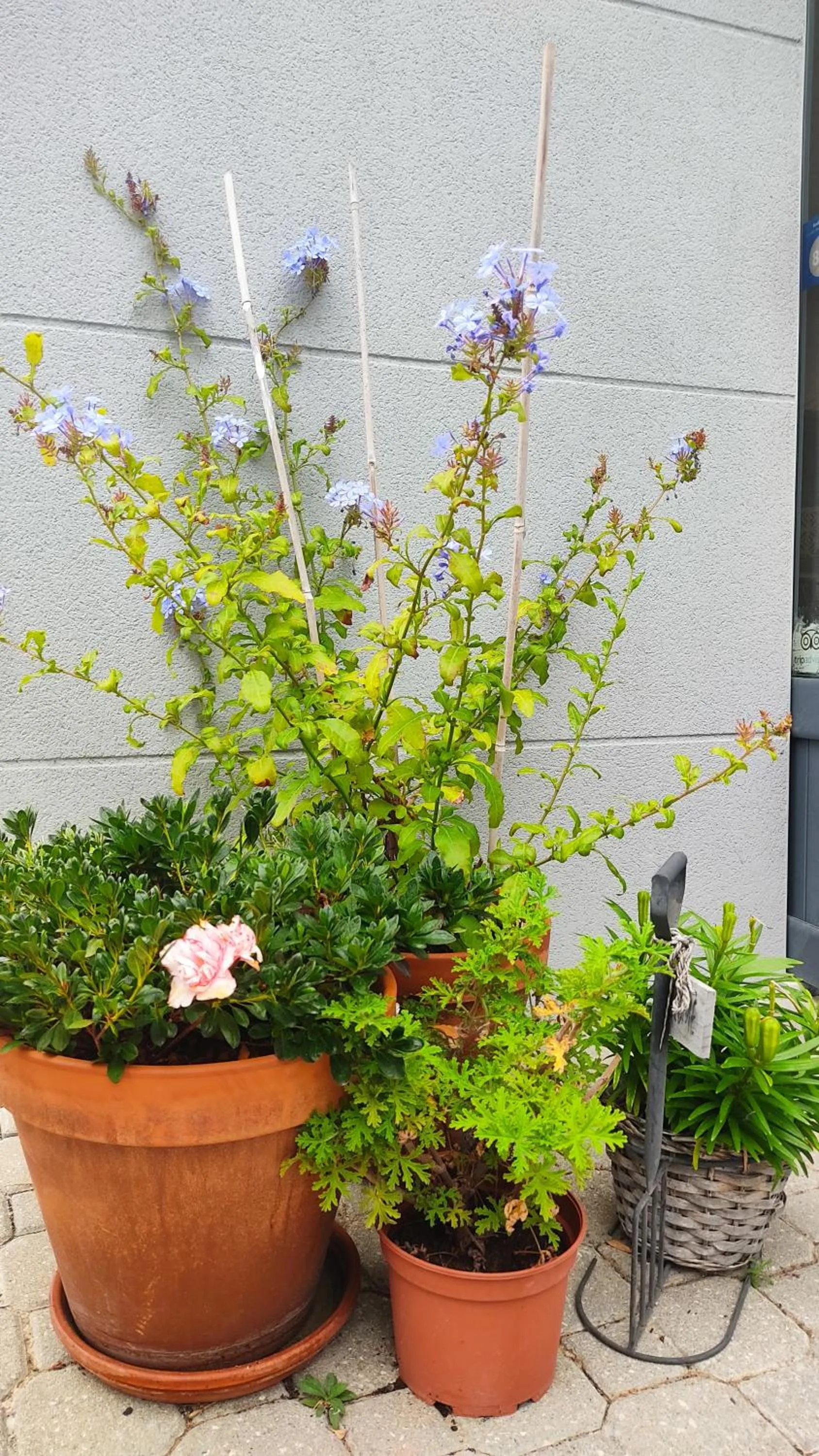 Facade/entrance in Alojamento Local Verde e Mar