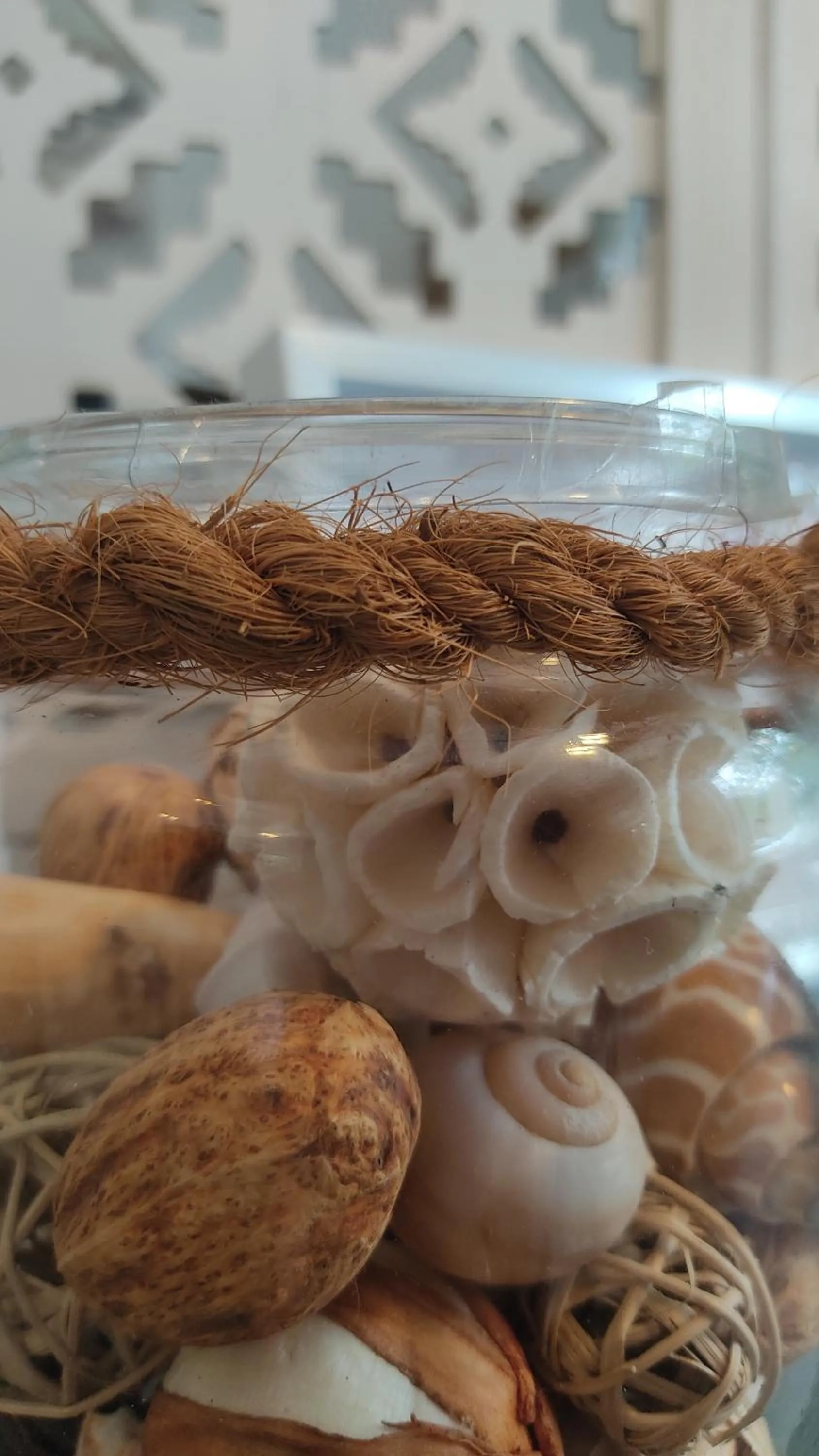 Lobby or reception in Alojamento Local Verde e Mar