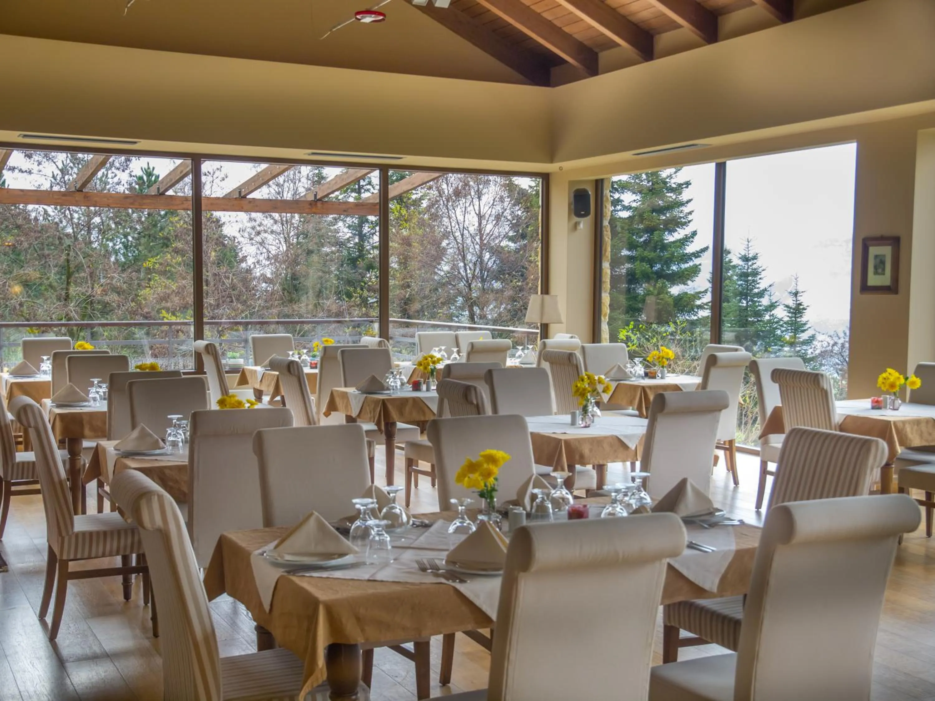 Restaurant/places to eat in Orizontes Tzoumerkon Hotel Resort