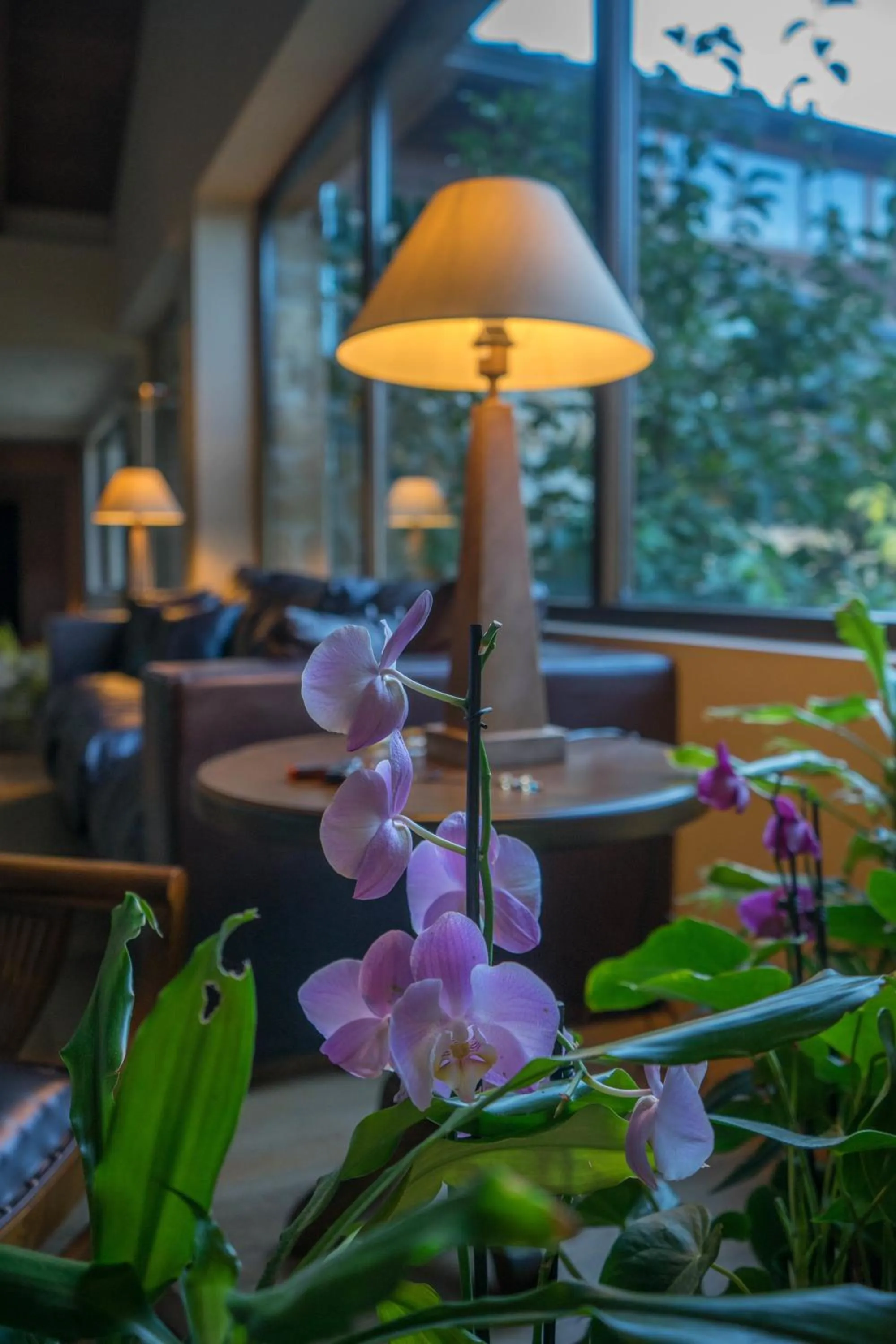 Decorative detail in Orizontes Tzoumerkon Hotel Resort