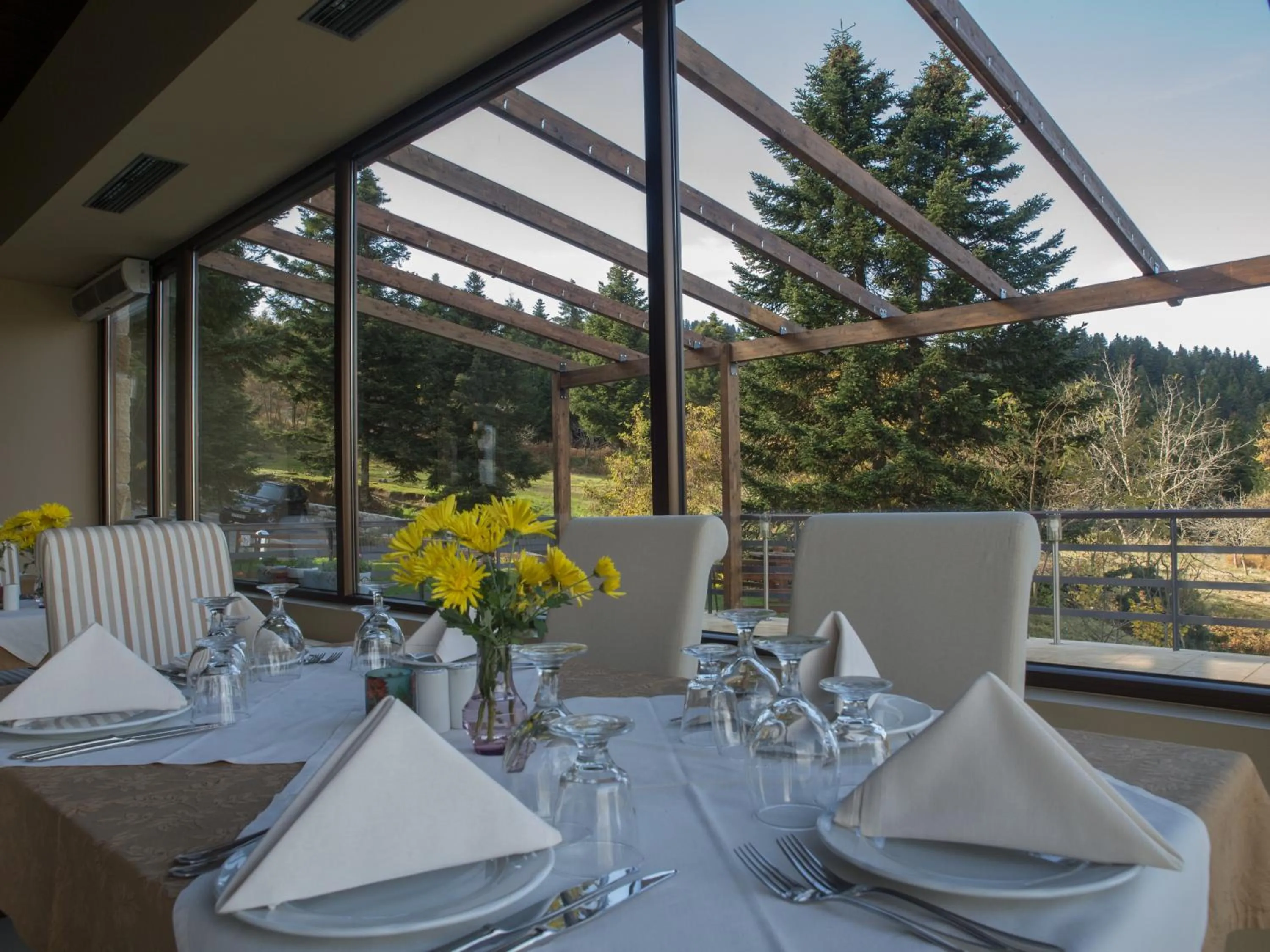 Restaurant/places to eat in Orizontes Tzoumerkon Hotel Resort