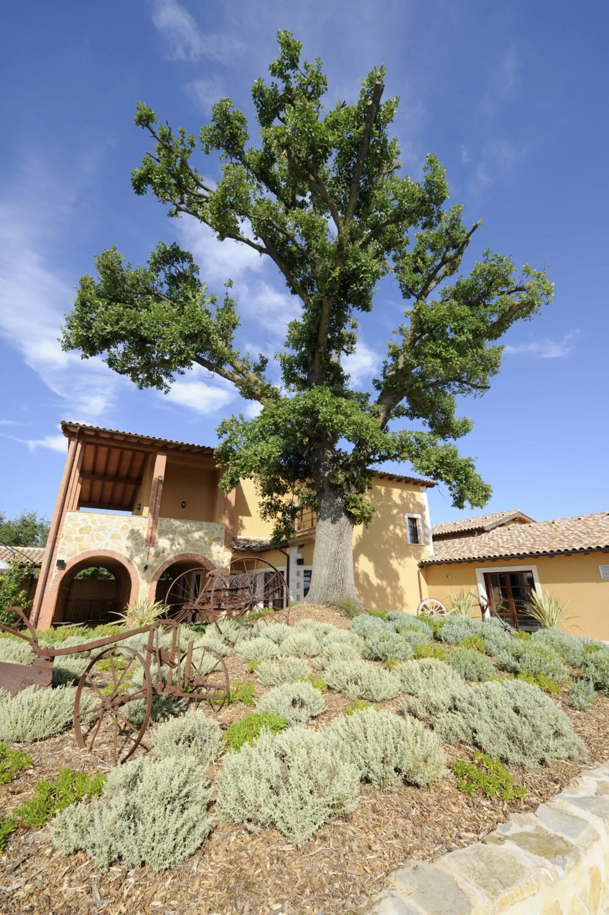 Facade/entrance in Borgo Magliano Resort