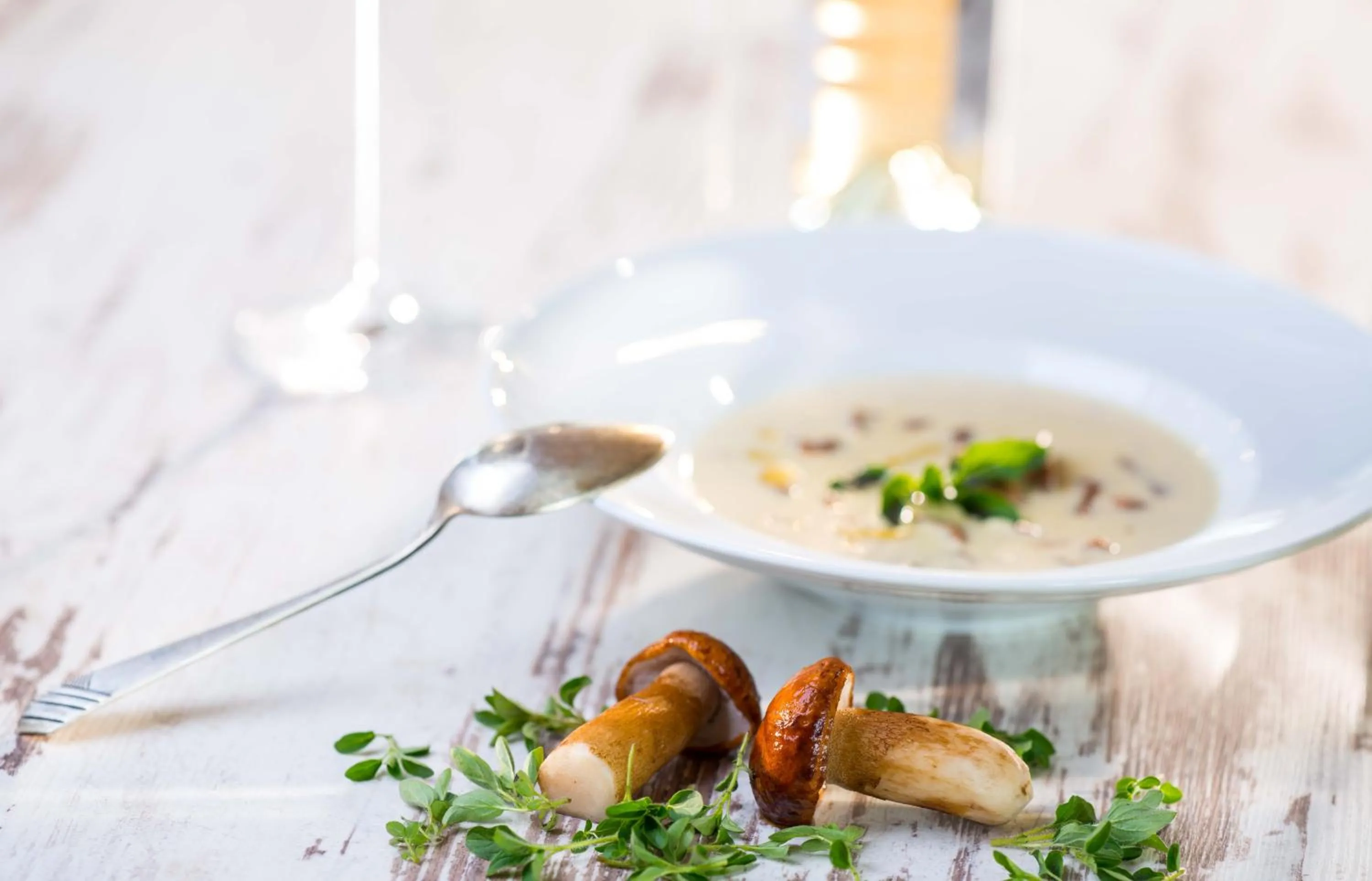 Food and drinks in Penzion na Kopci