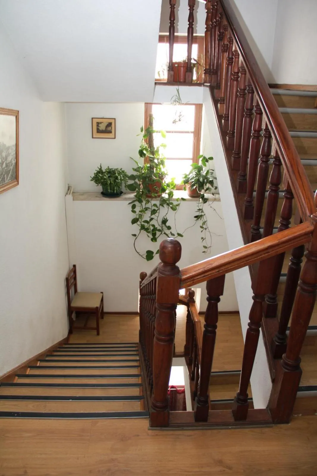 Day in Residencial Parque