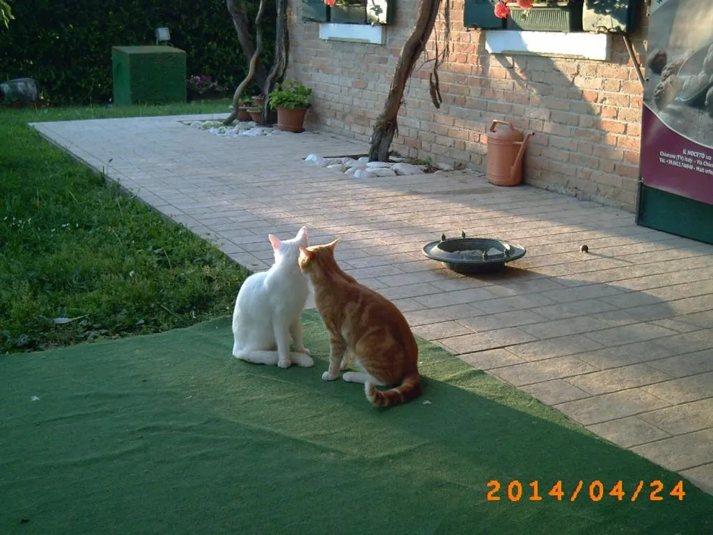 Other in Locanda Antico Fighèr