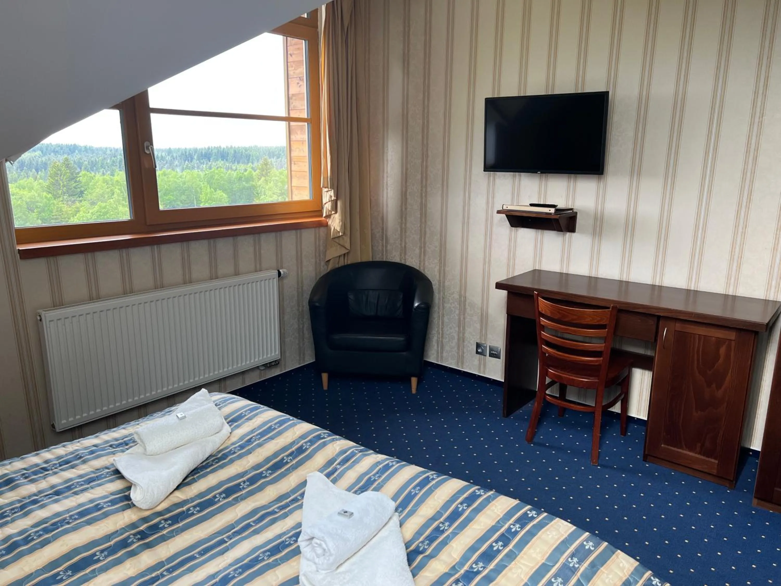 Bed in Hotel Krušnohorský Dvůr