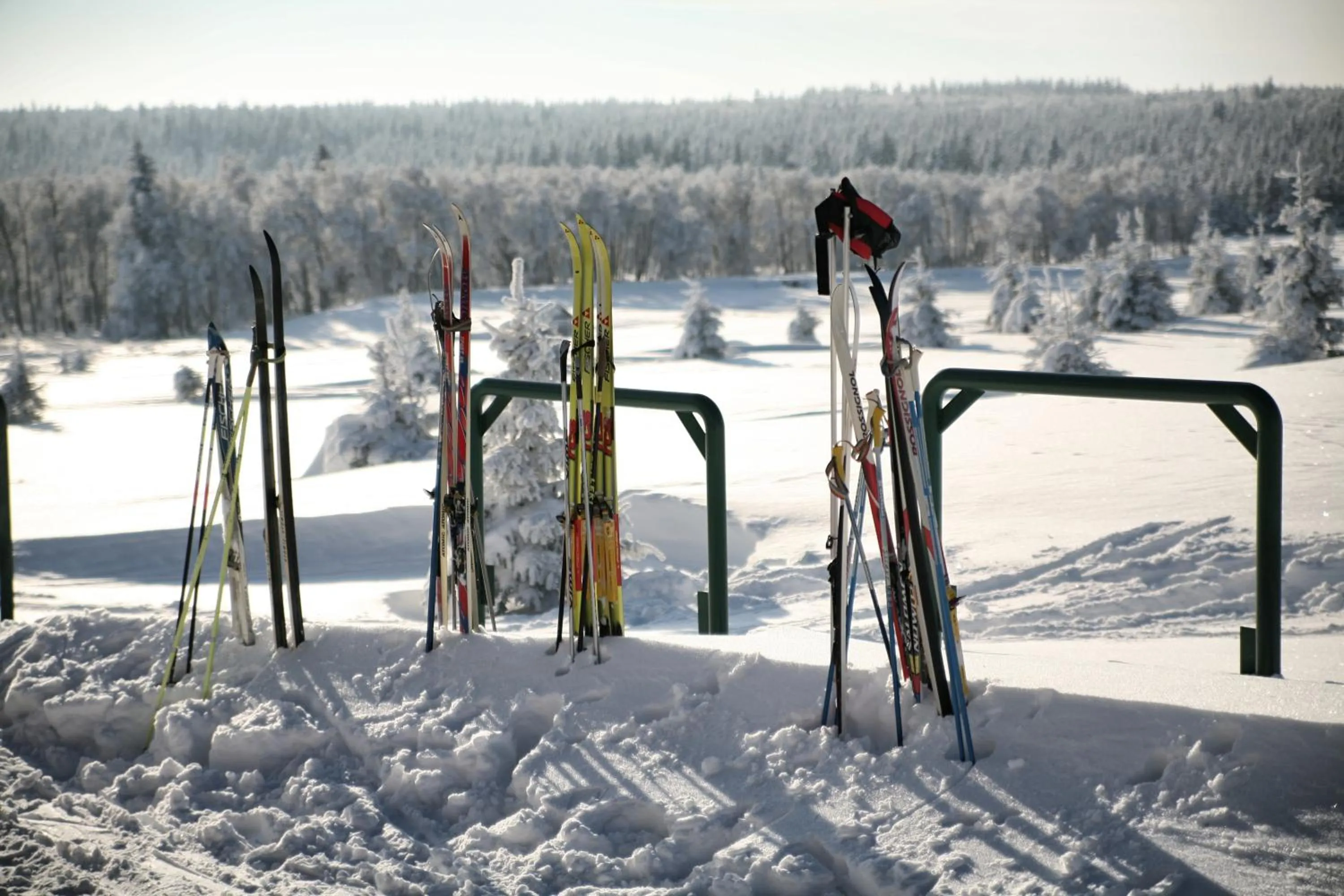 People in Hotel Krušnohorský Dvůr