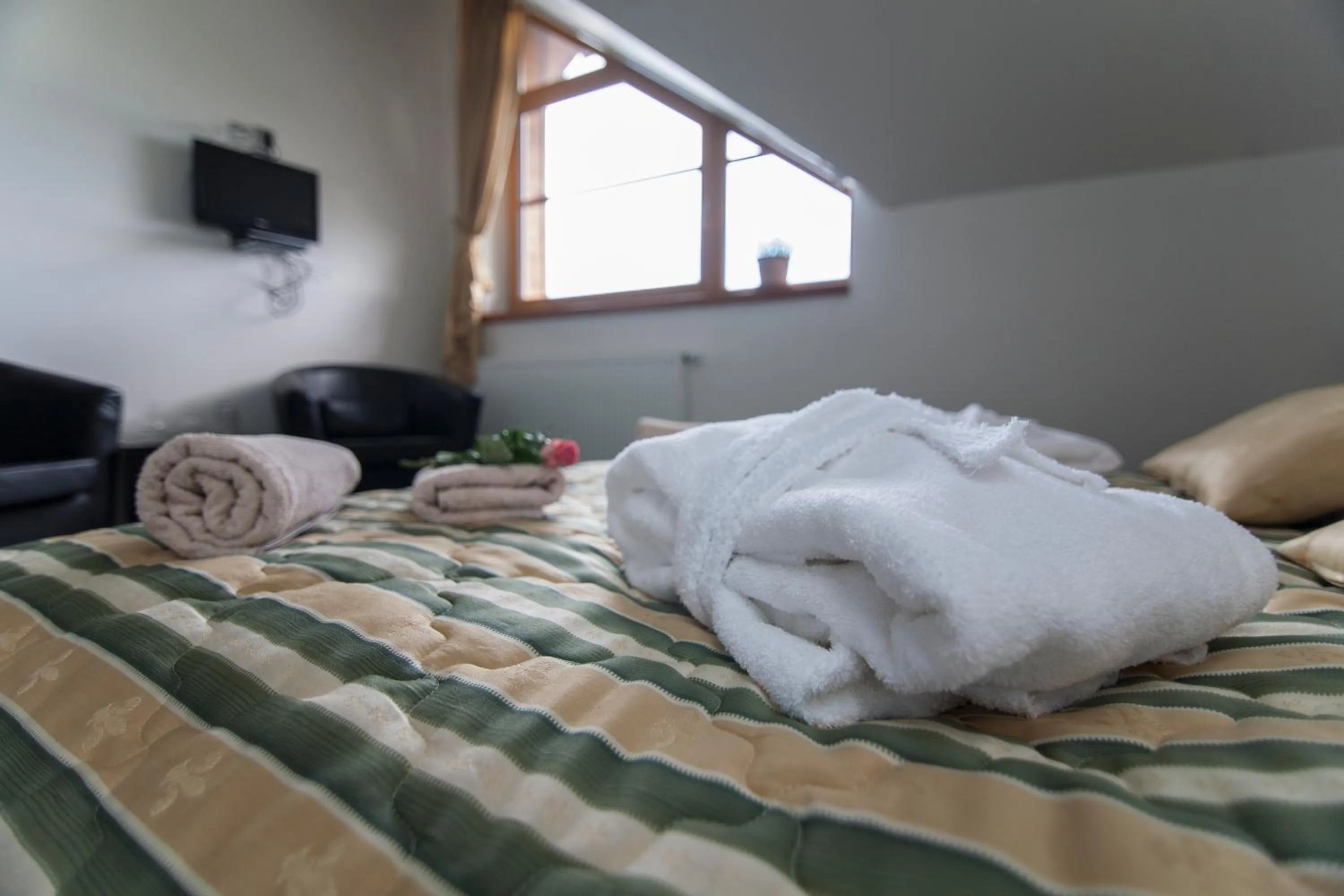 Decorative detail, Bed in Hotel Krušnohorský Dvůr
