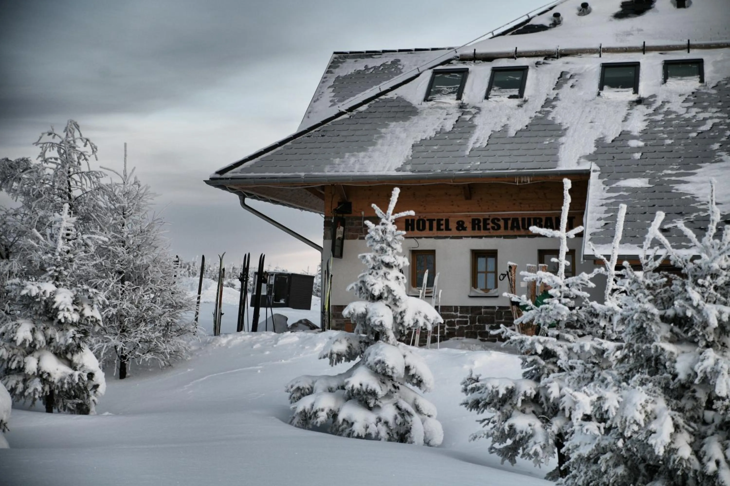 Facade/entrance in Hotel Krušnohorský Dvůr