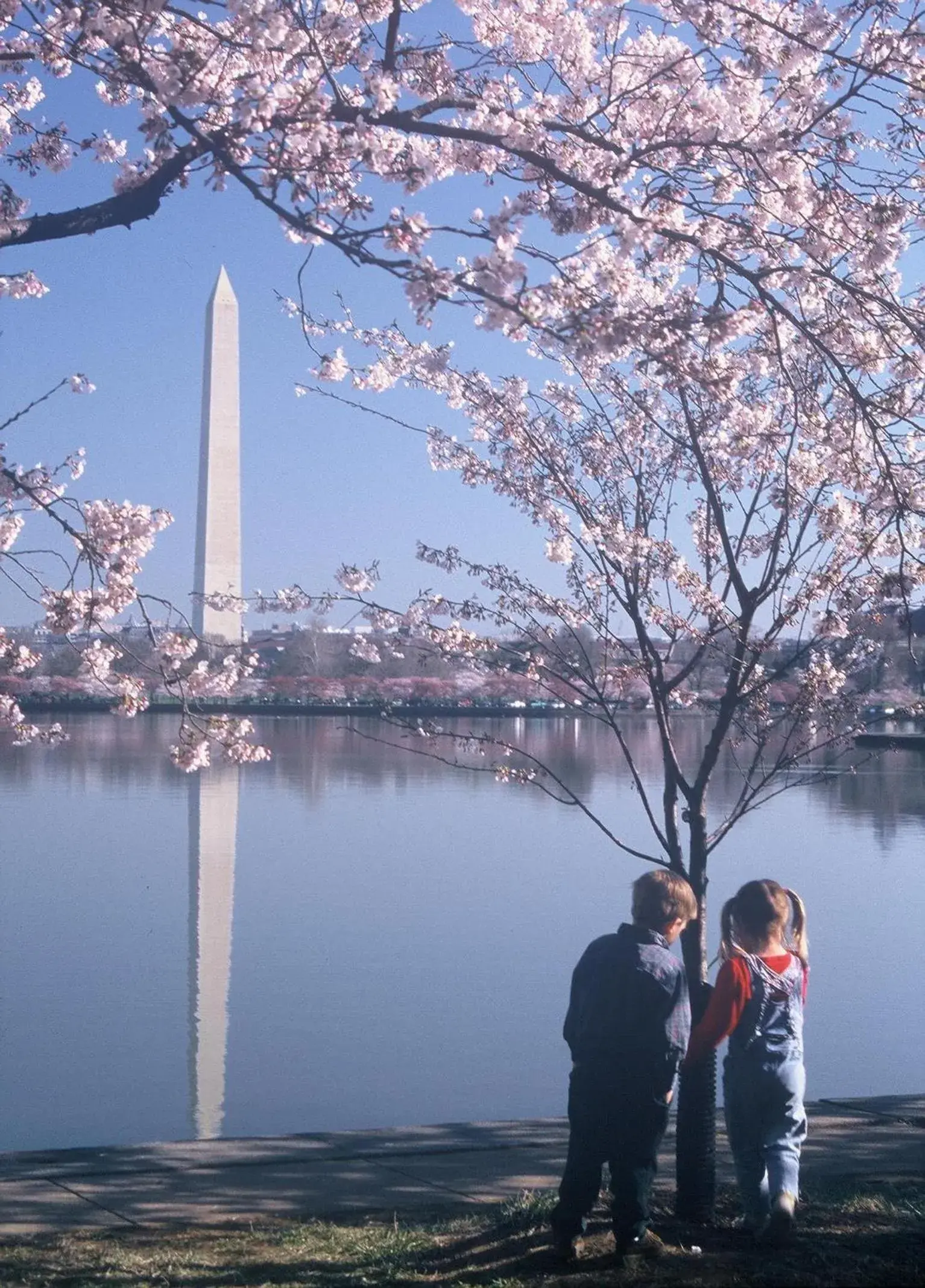 Property building in Homewood Suites by Hilton Falls Church Property building in Homewood Suites by Hilton Falls Church