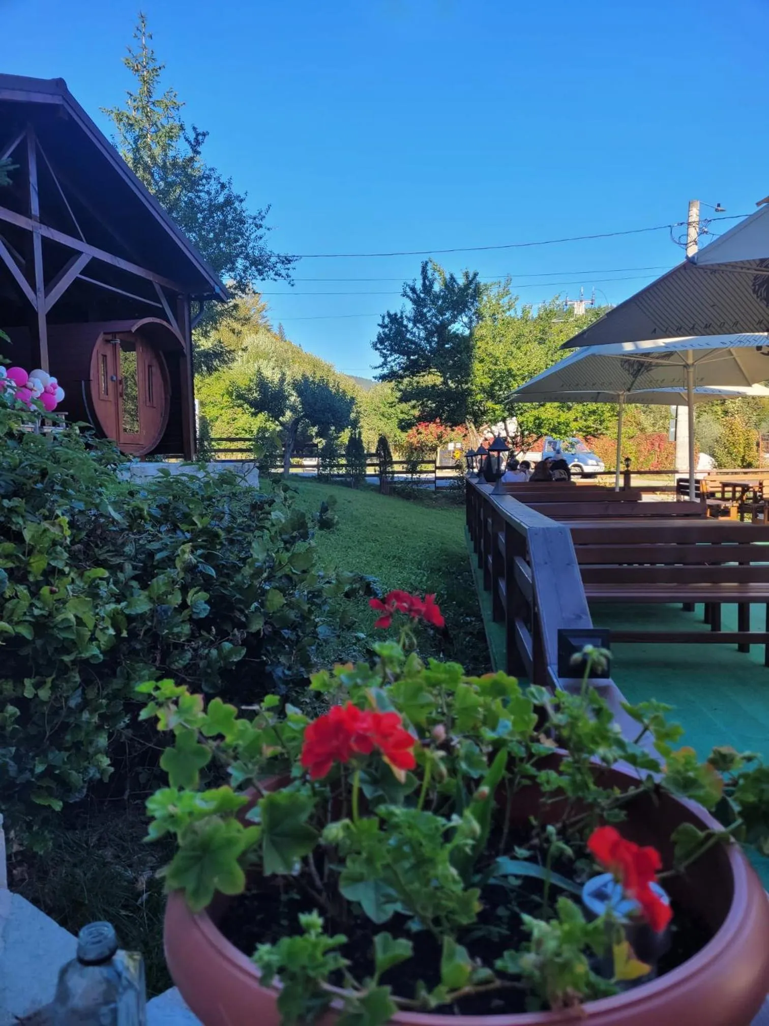 Property building in Pensiunea ELEMAR