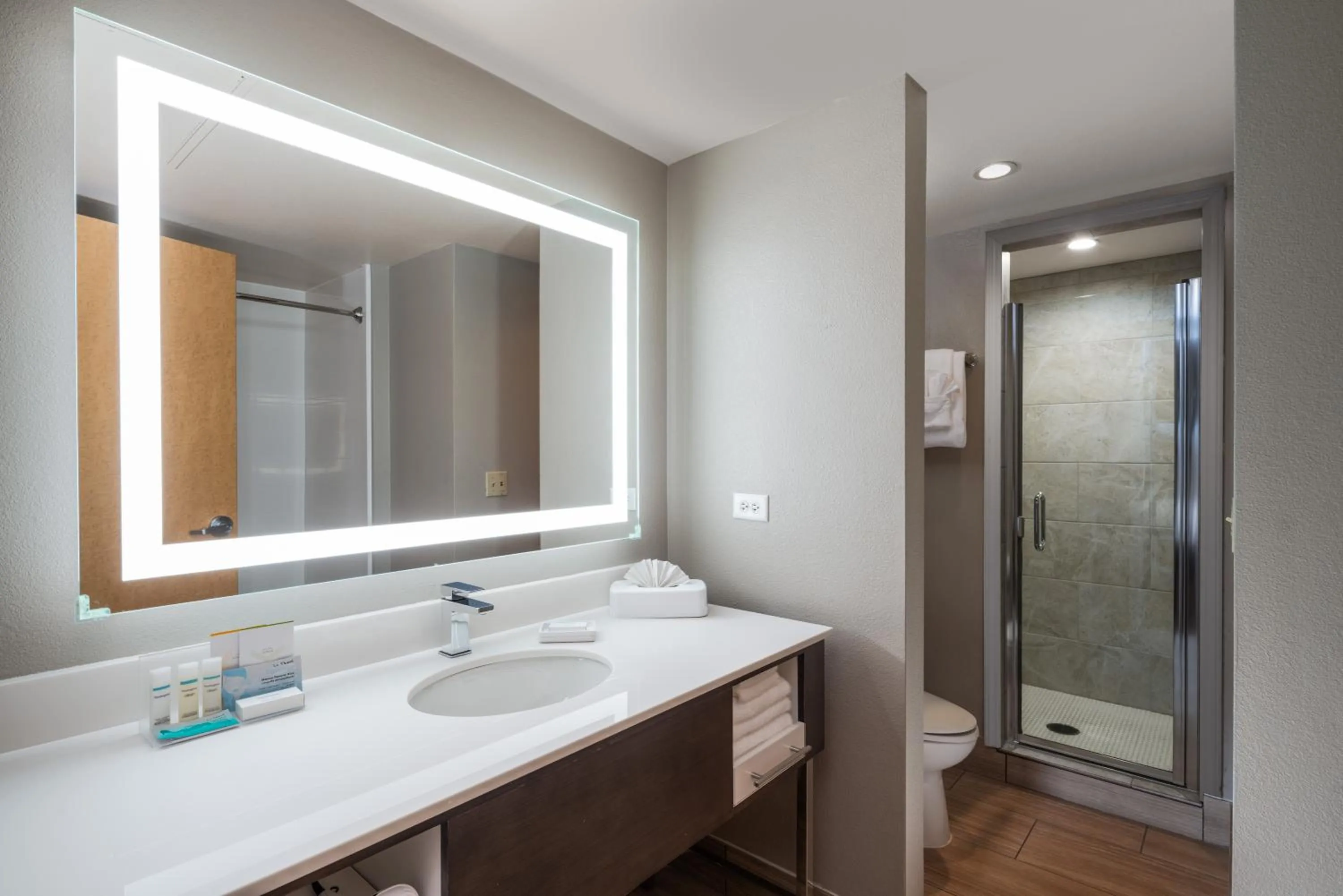 Shower in Hampton Inn Tropicana