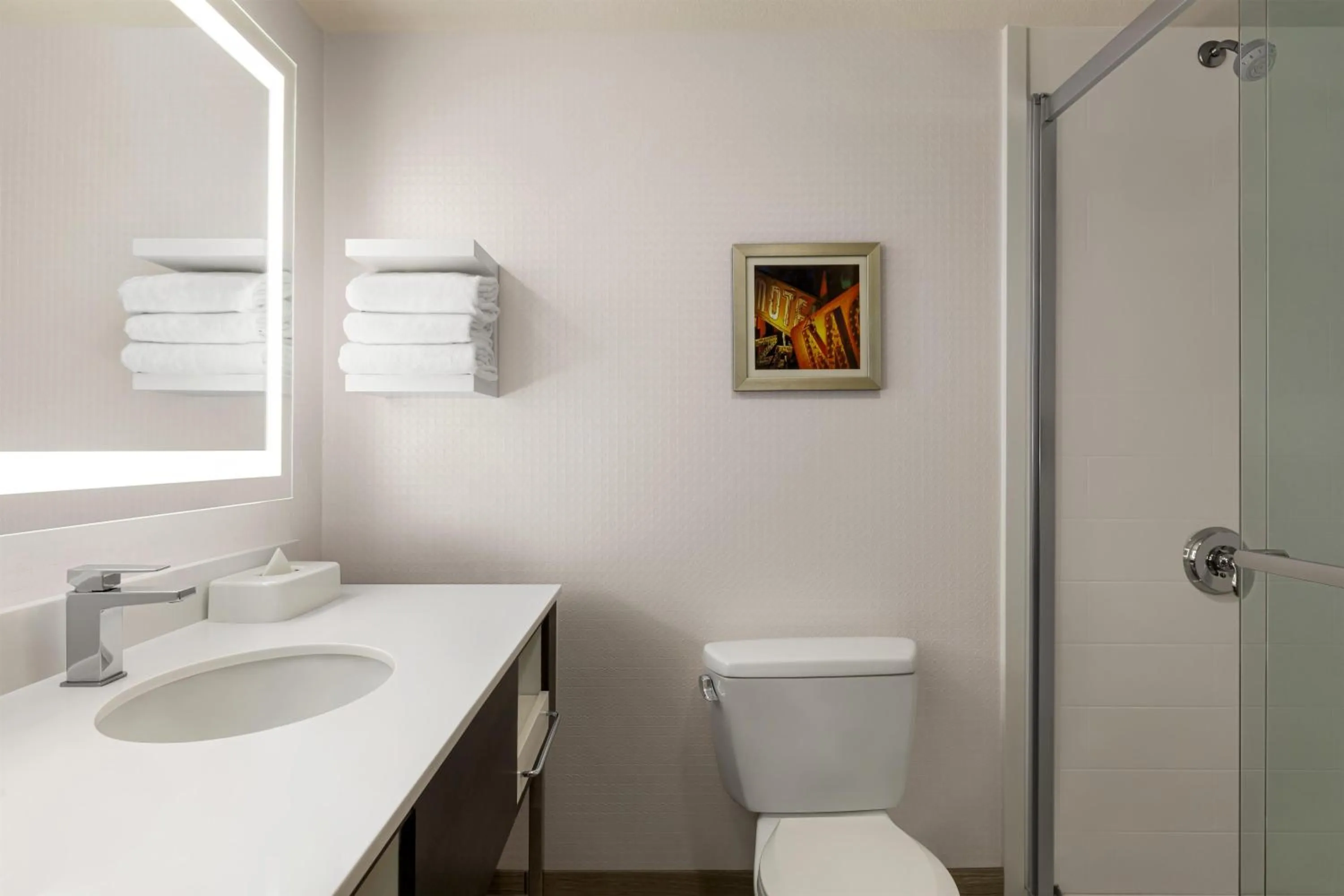 Bathroom in Hampton Inn Tropicana