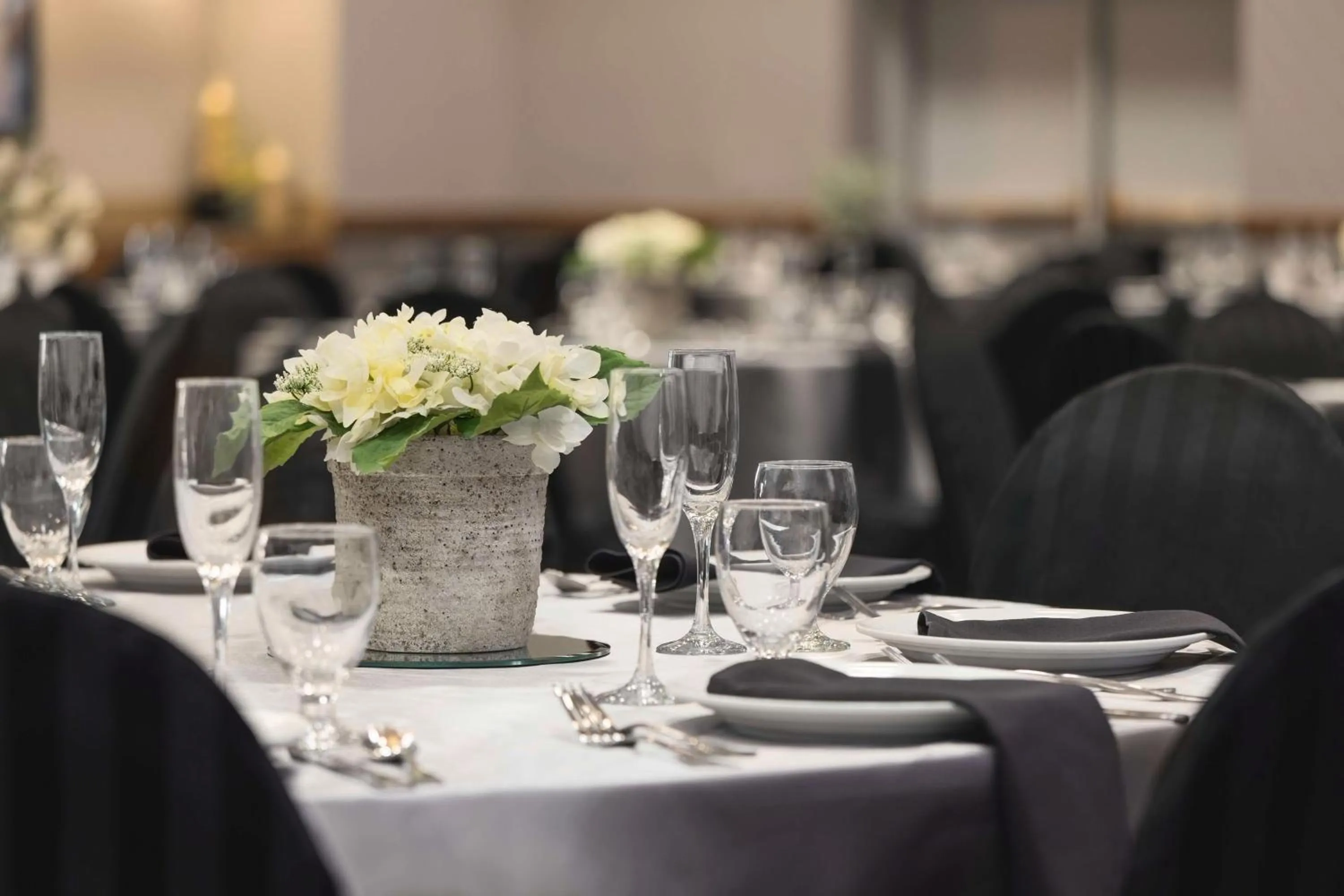 Meeting/conference room in Hampton Inn Tropicana