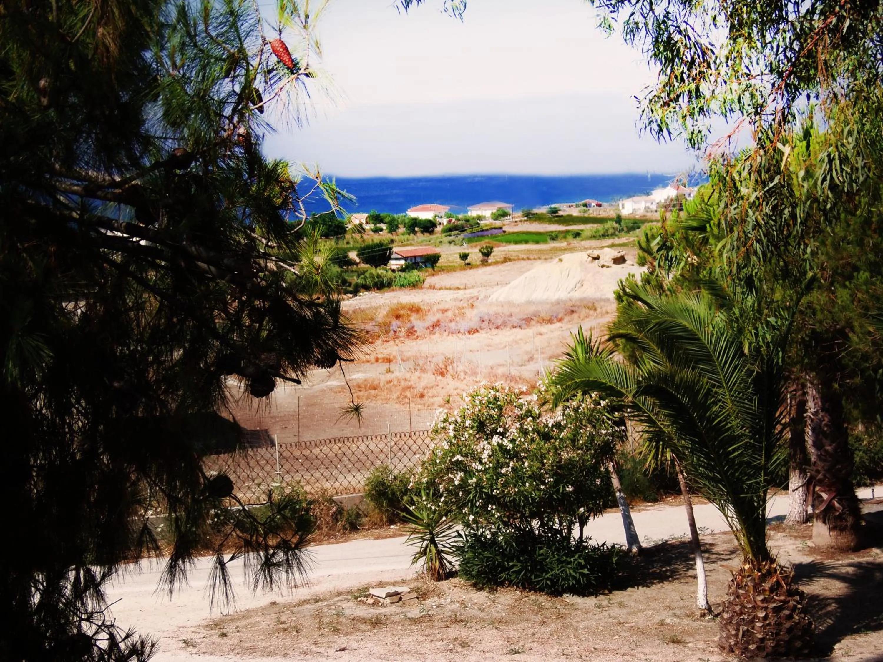 Synodinos Studios
