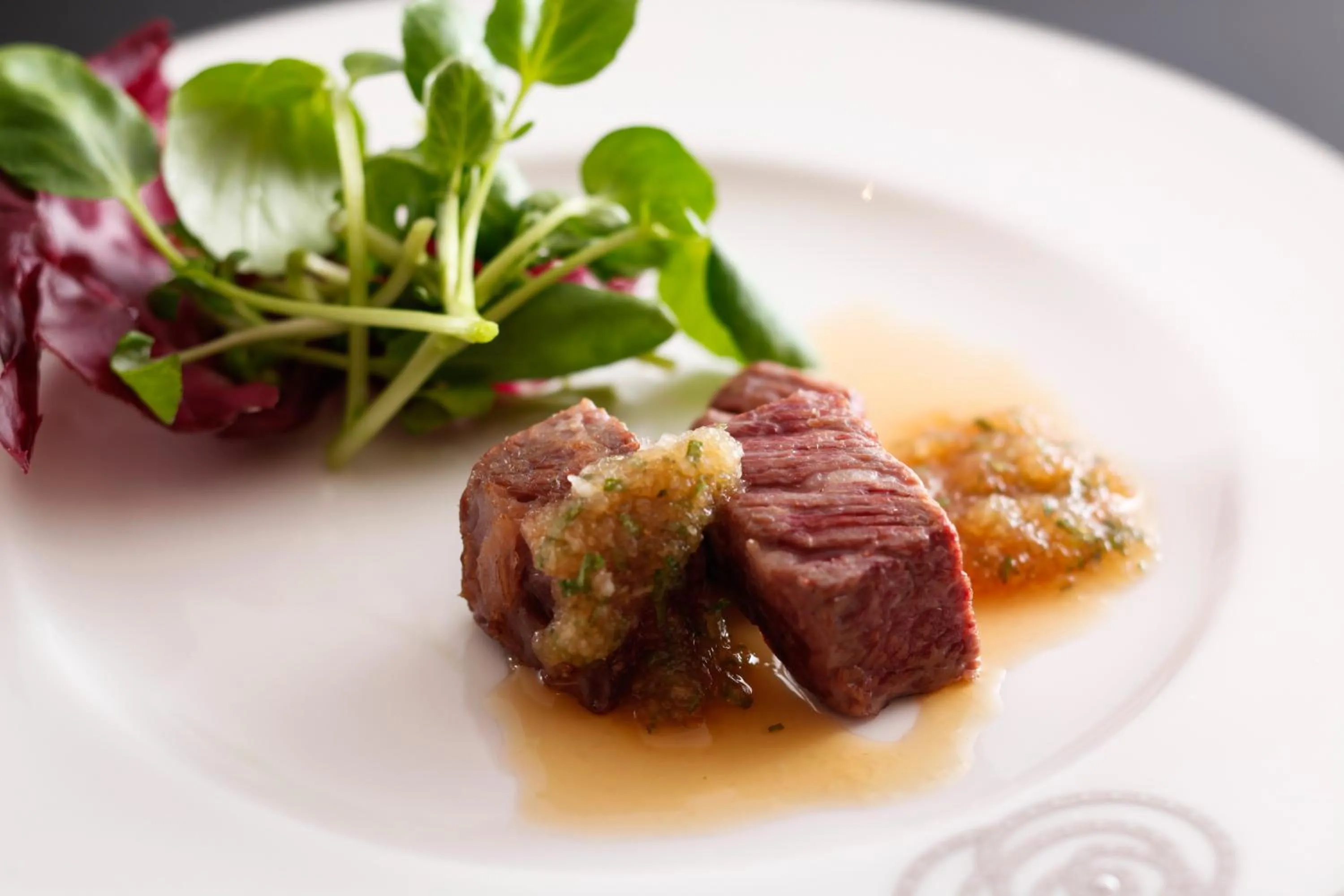 The Shiroyama Terrace Tsuyama Villa