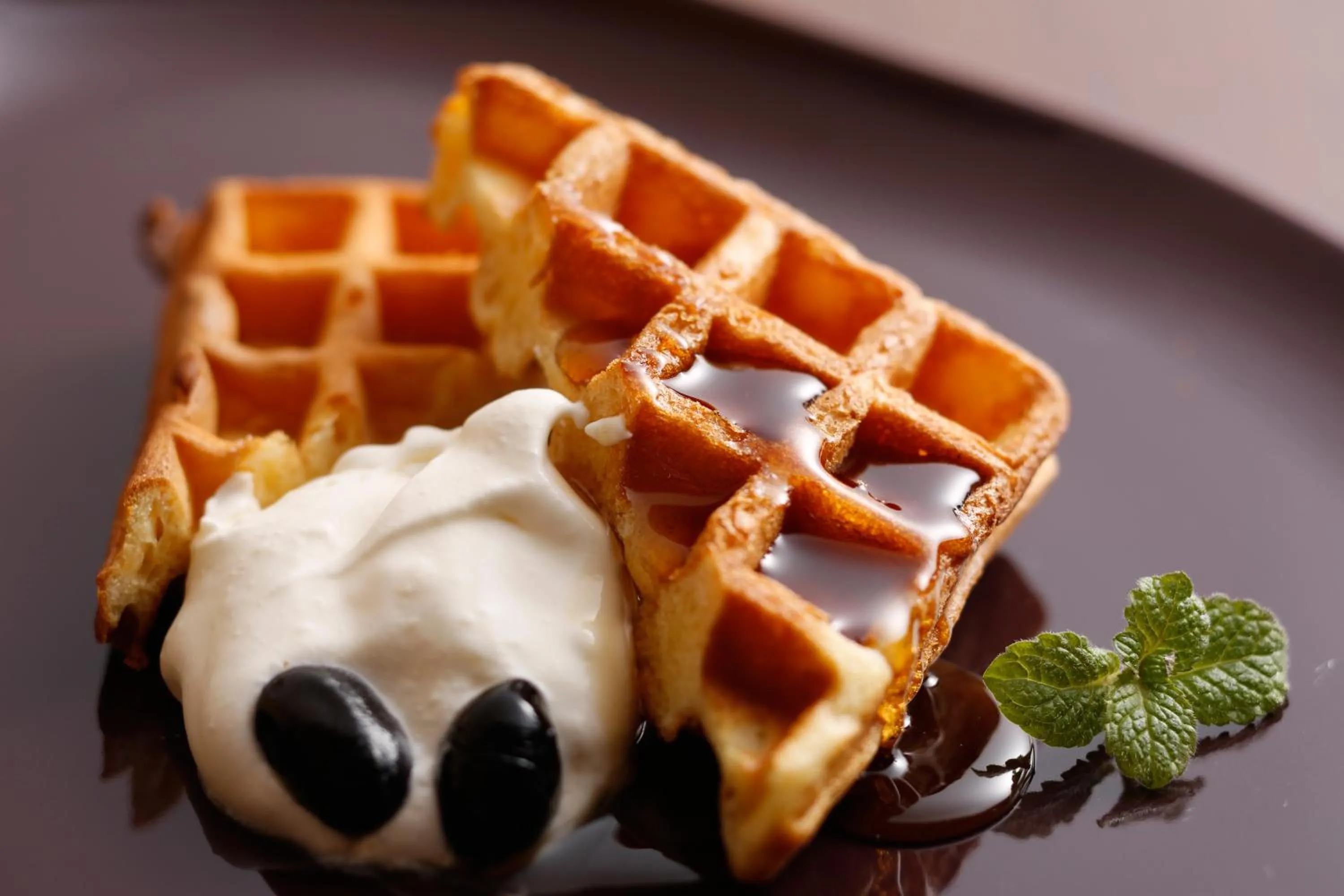 The Shiroyama Terrace Tsuyama Villa