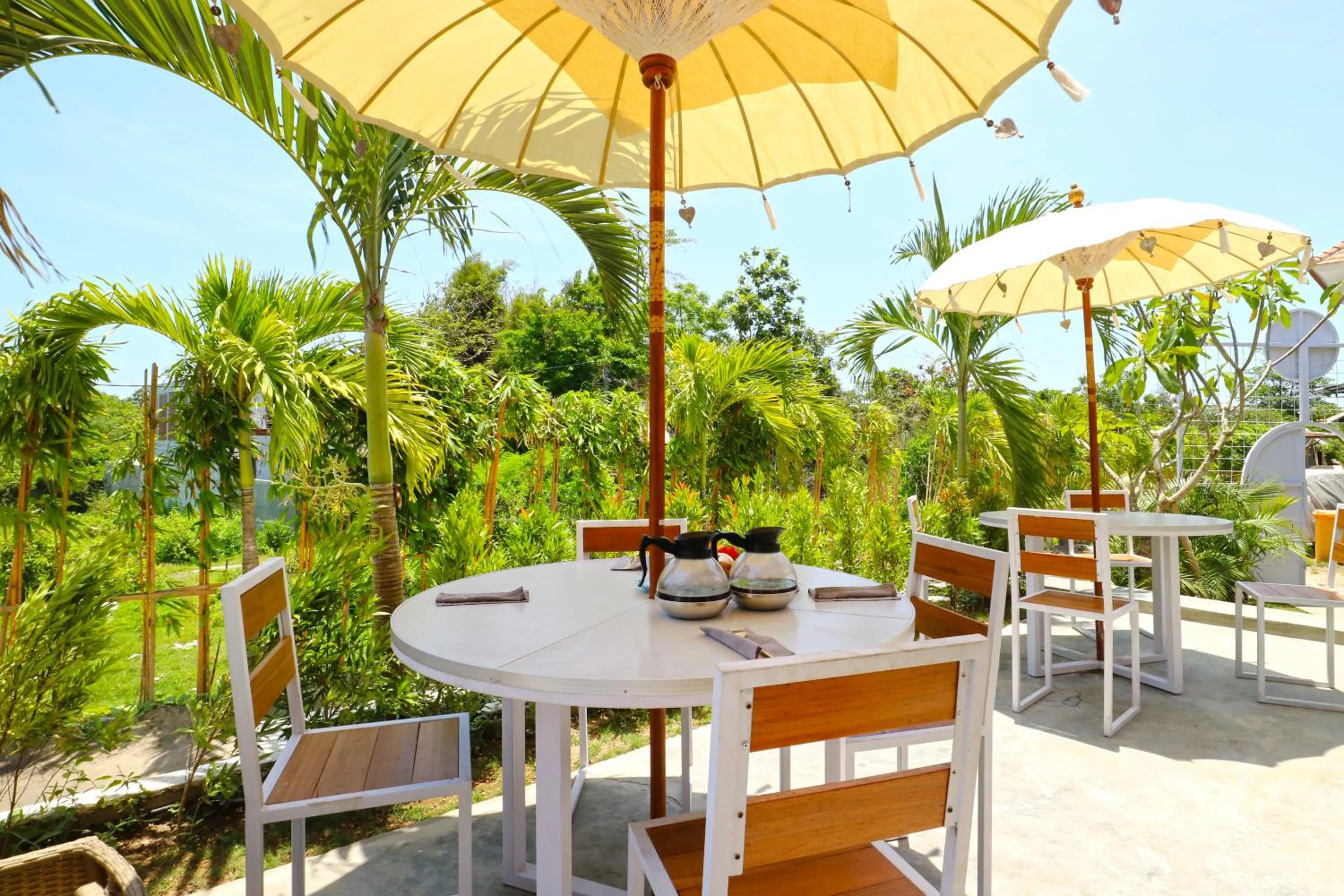 View (from property/room) in Margarita Surf Hostel Canggu