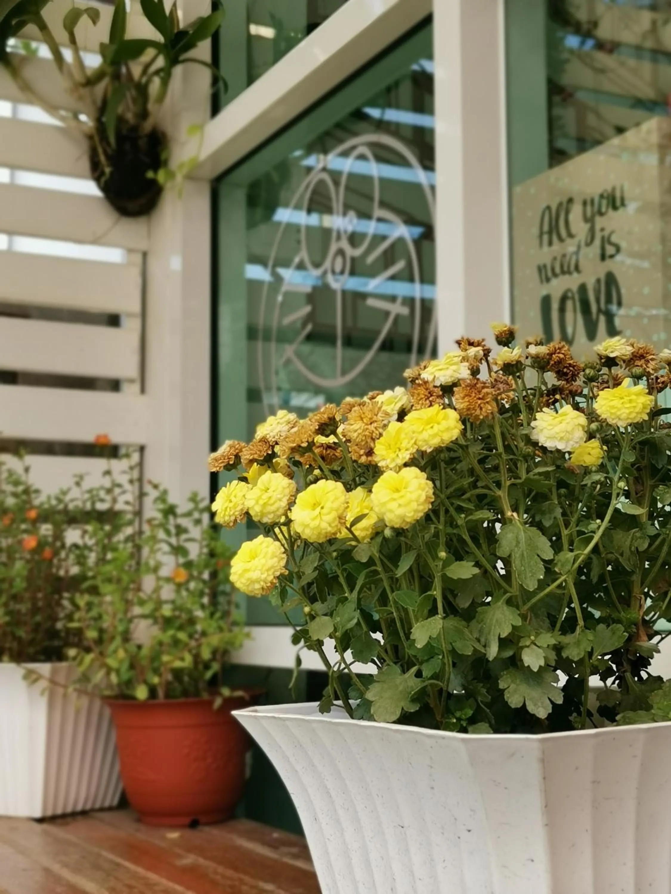 Property building in CuteinNan Hostel