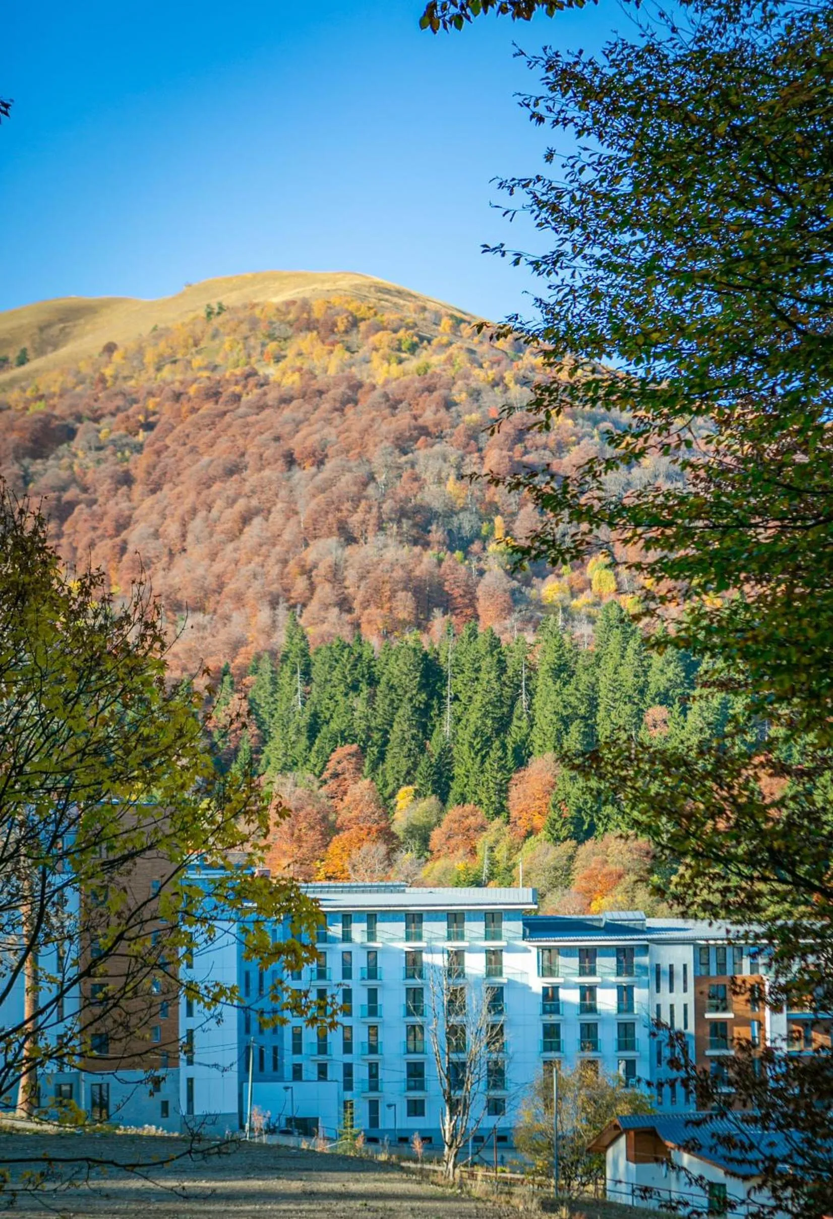 Natural landscape in Orbi Palace Hotel Official