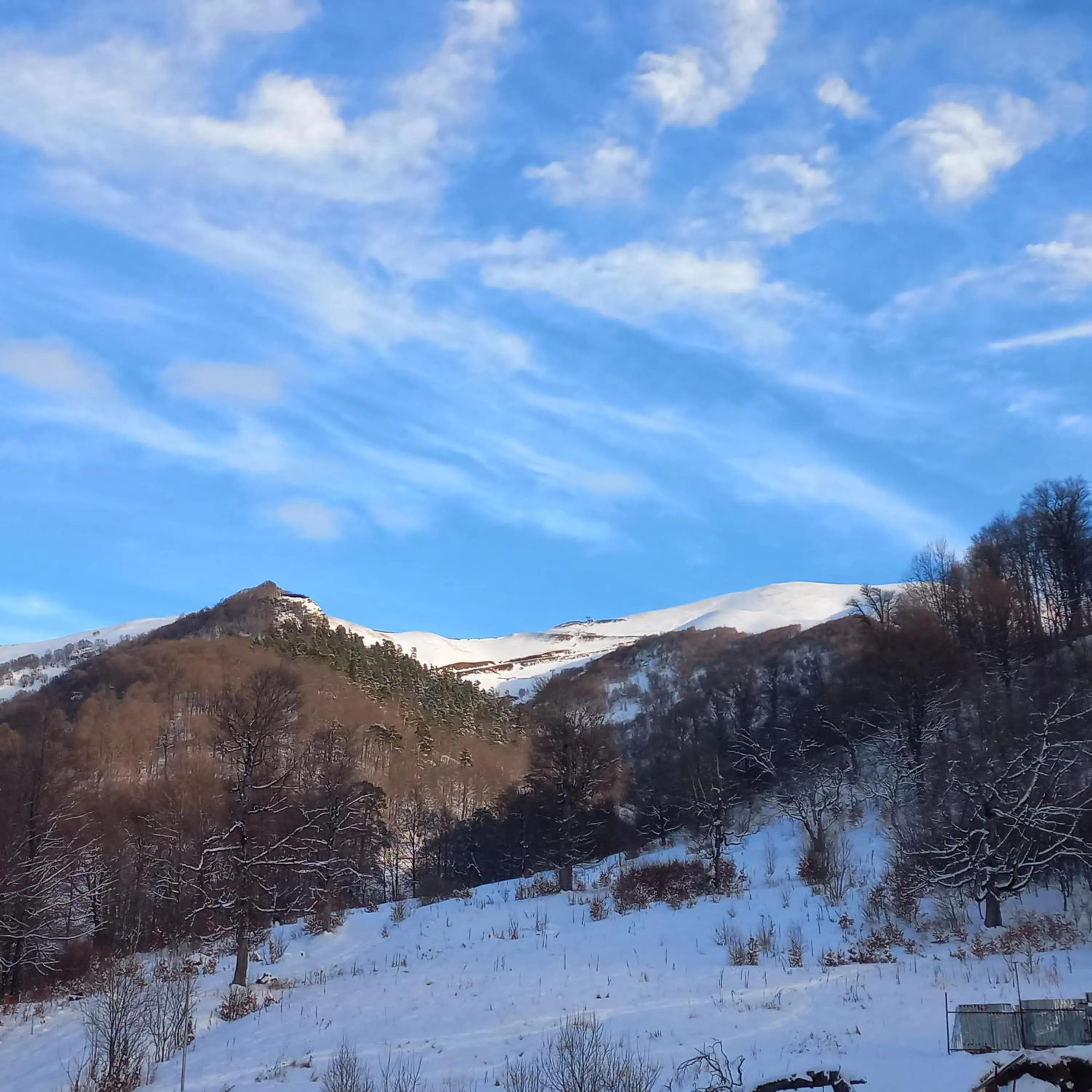 View (from property/room) in Orbi Palace Hotel Official