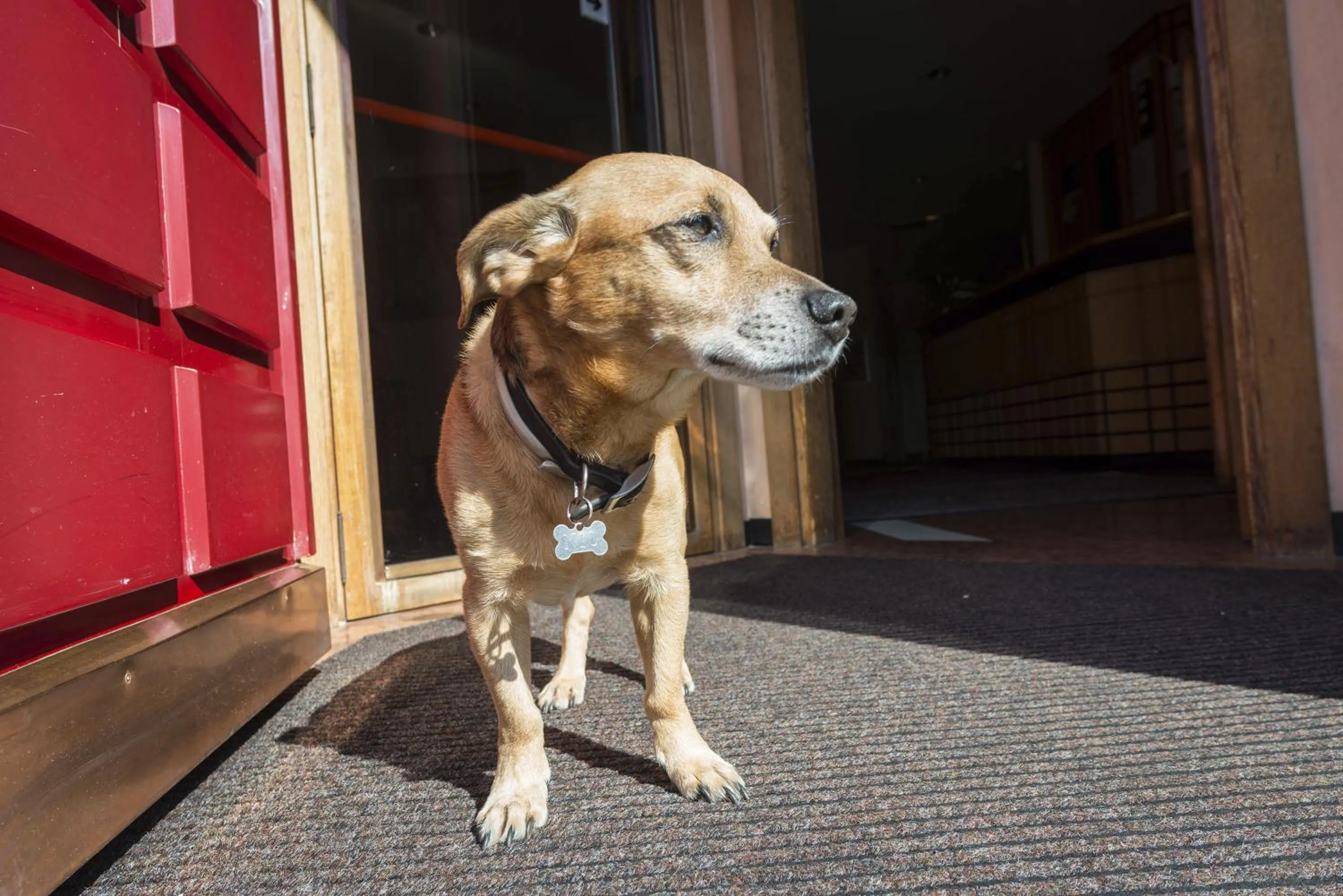 Staff in Hotel Drago